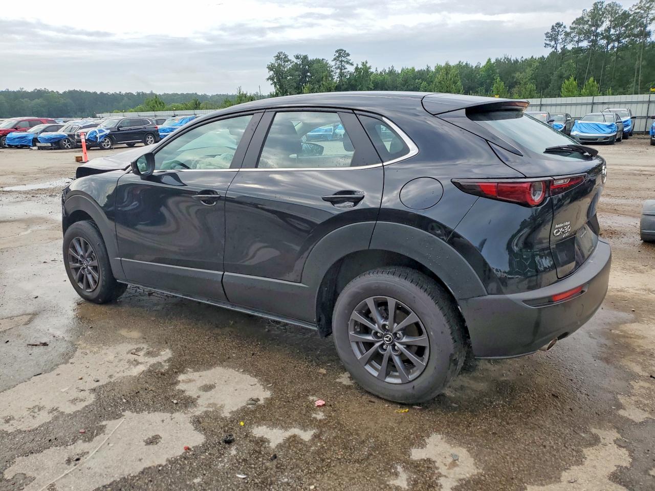 2024 Mazda Cx-30 Black vin: 3MVDMBAM9RM664499