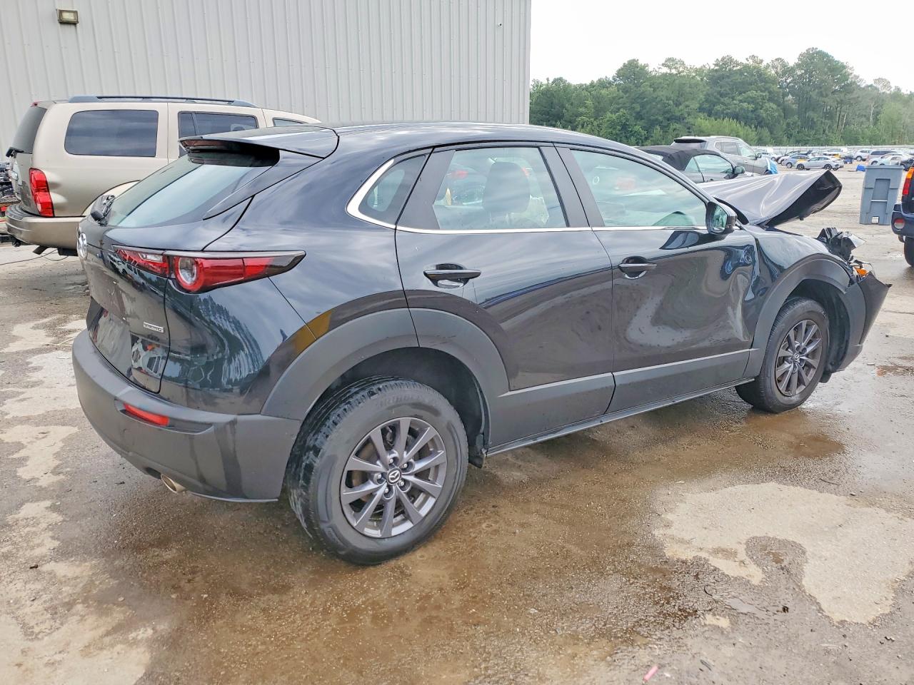 2024 Mazda Cx-30 Black vin: 3MVDMBAM9RM664499