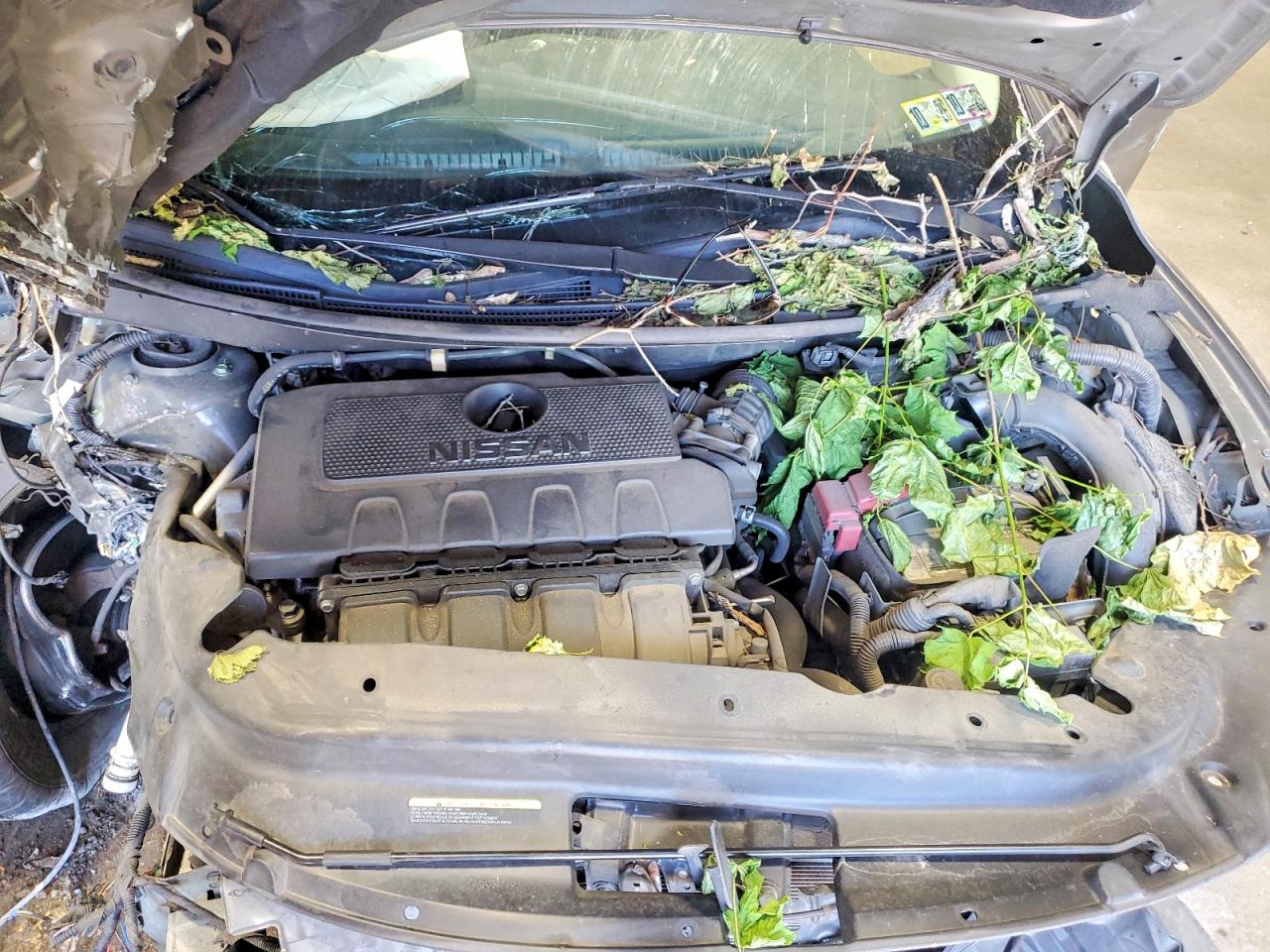 2015 Nissan Sentra Sv Желто-коричневый vin: 3N1AB7AP2FL697169