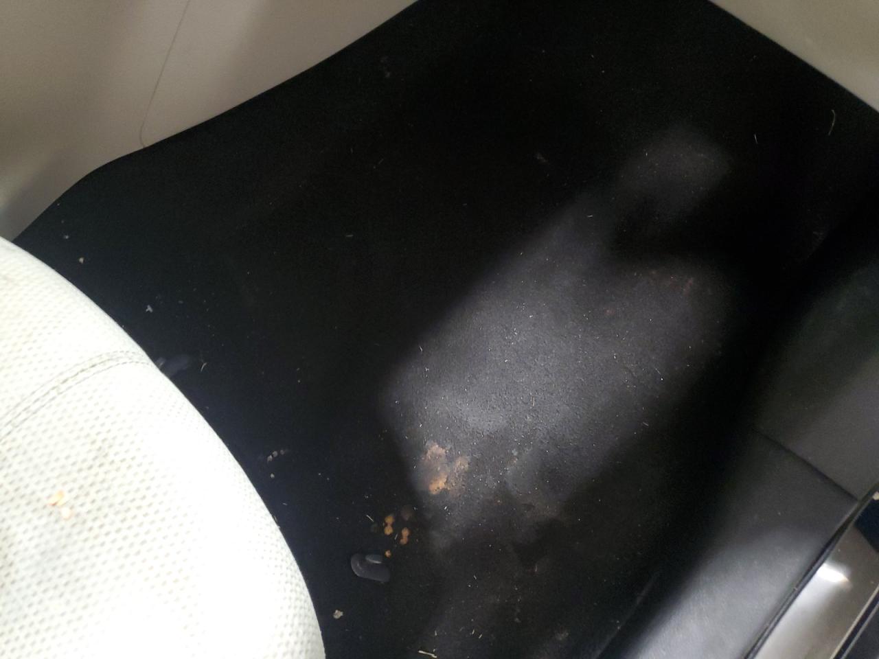 2016 Nissan Sentra S Blue vin: 3N1AB7AP7GY298097 Damage: Right Front Carpet, Stained, Permanent