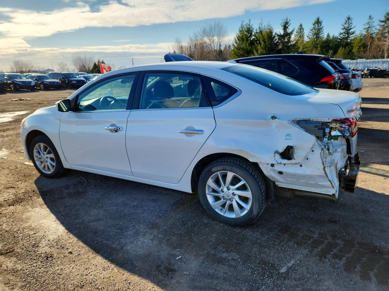 2015 Nissan Sentra Белый vin: 3N1AB7AP9FL676254