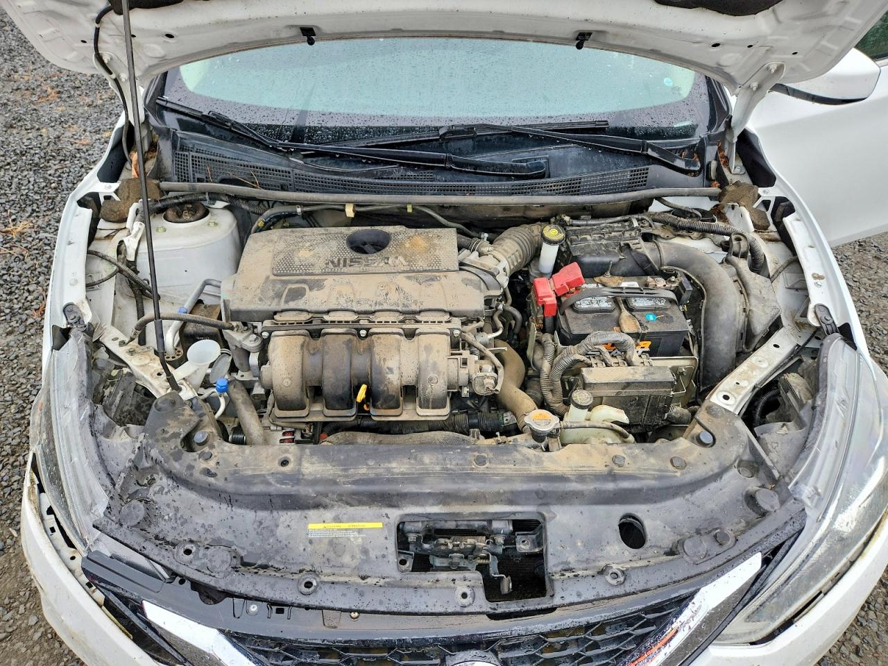 2016 Nissan Sentra Sv Белый vin: 3N1AB7APXGY325194