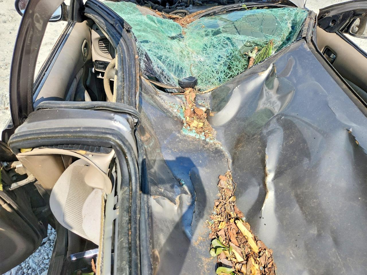 2006 Nissan Sentra 1.8 Серый vin: 3N1CB51D56L554414