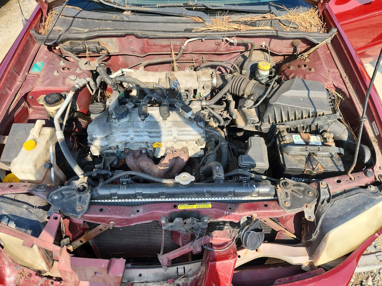 2004 Nissan Sentra 1.8 Burgundy vin: 3N1CB51D74L822540