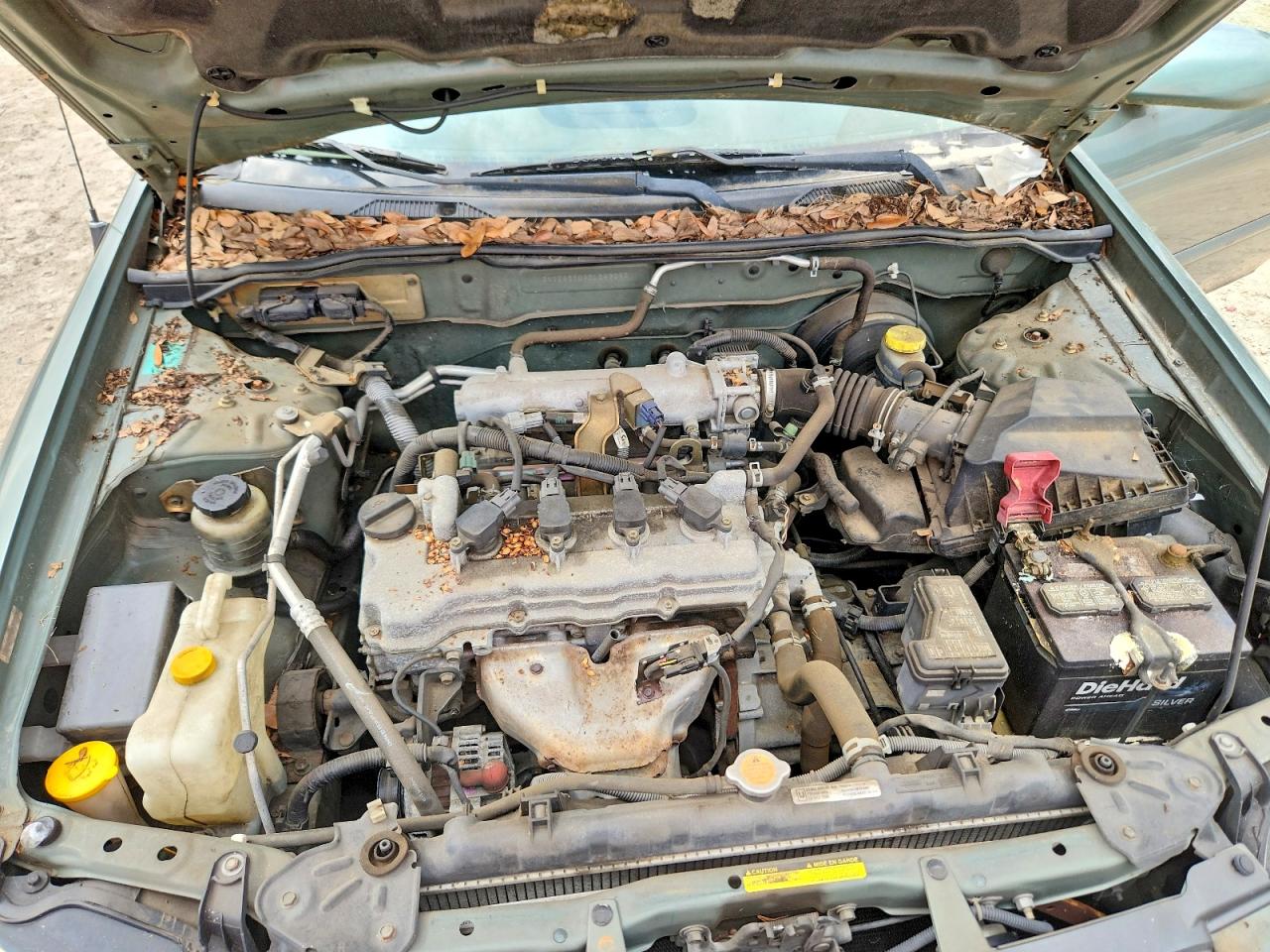2005 Nissan Sentra 1.8 Green vin: 3N1CB51D95L549098