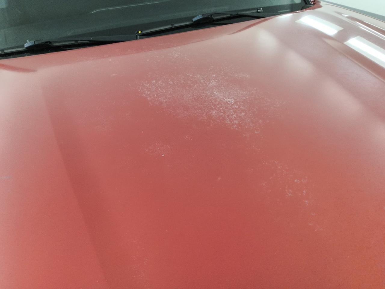 2019 Toyota Tacoma Sr5 V6 Red vin: 3TMCZ5AN8KM224451 Damage: Hood, Faded, Repair Required