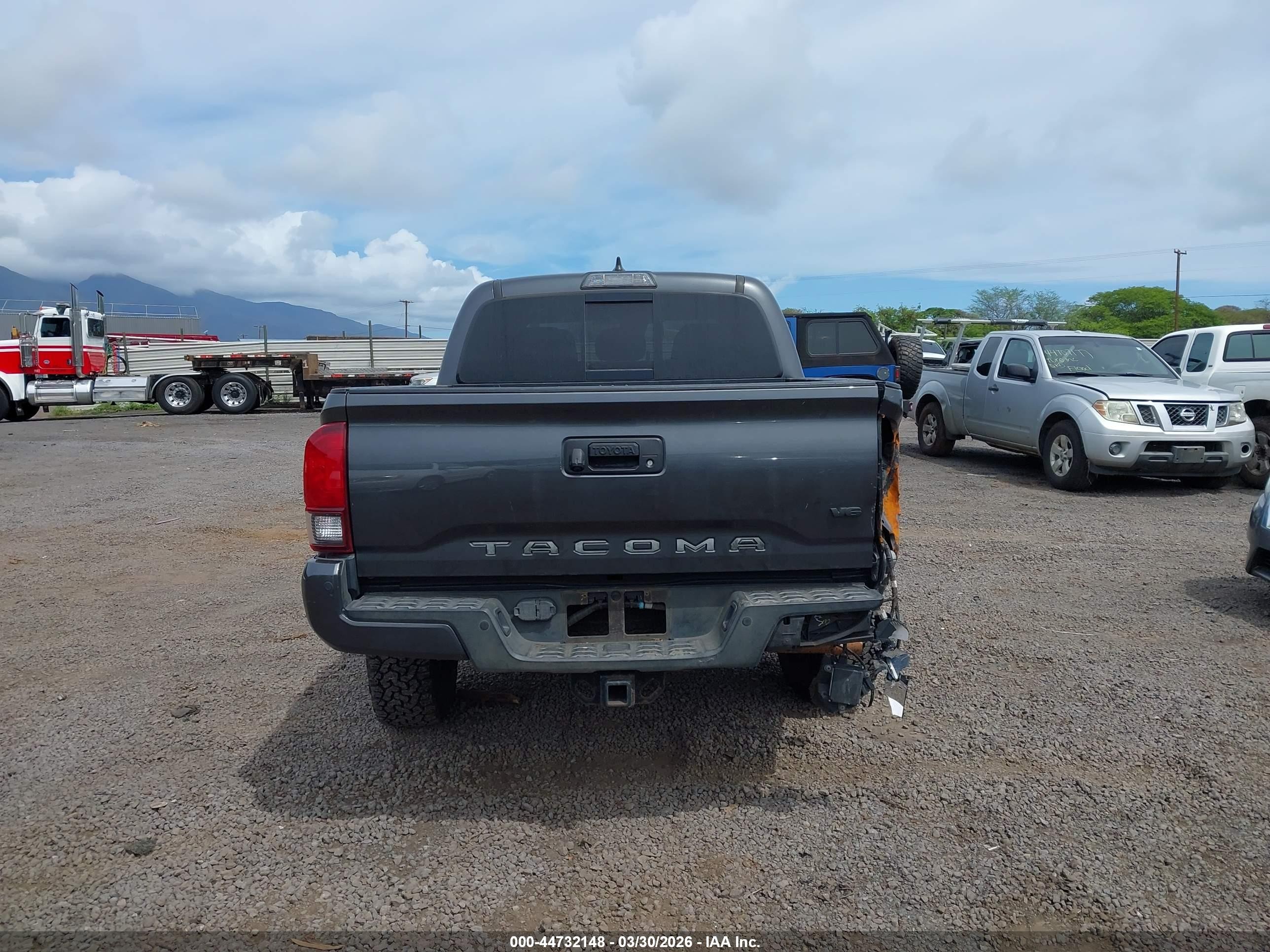 2019 Toyota Tacoma Trd Off Road Gray vin: 3TMCZ5AN8KM257191