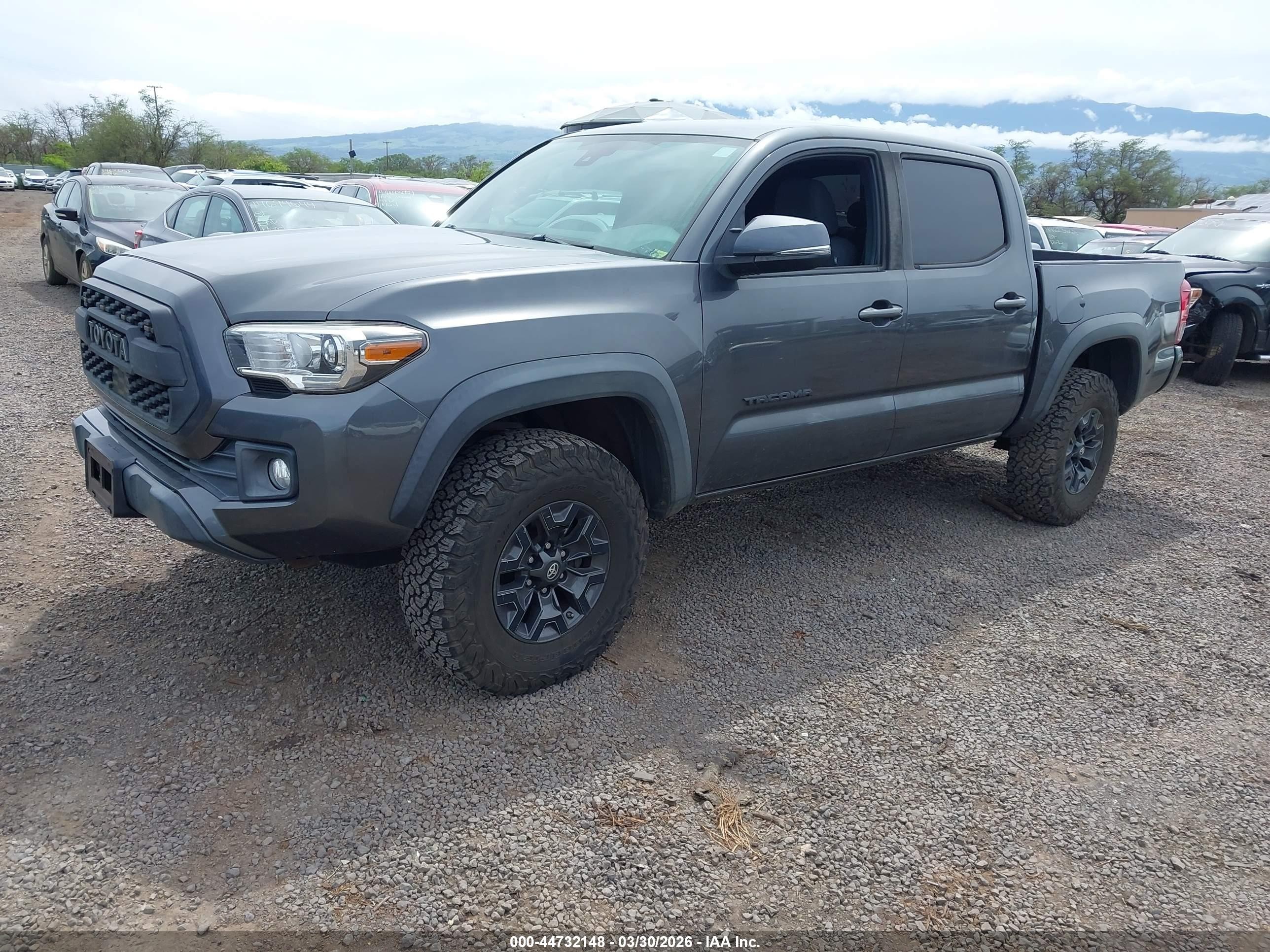 2019 Toyota Tacoma Trd Off Road Gray vin: 3TMCZ5AN8KM257191