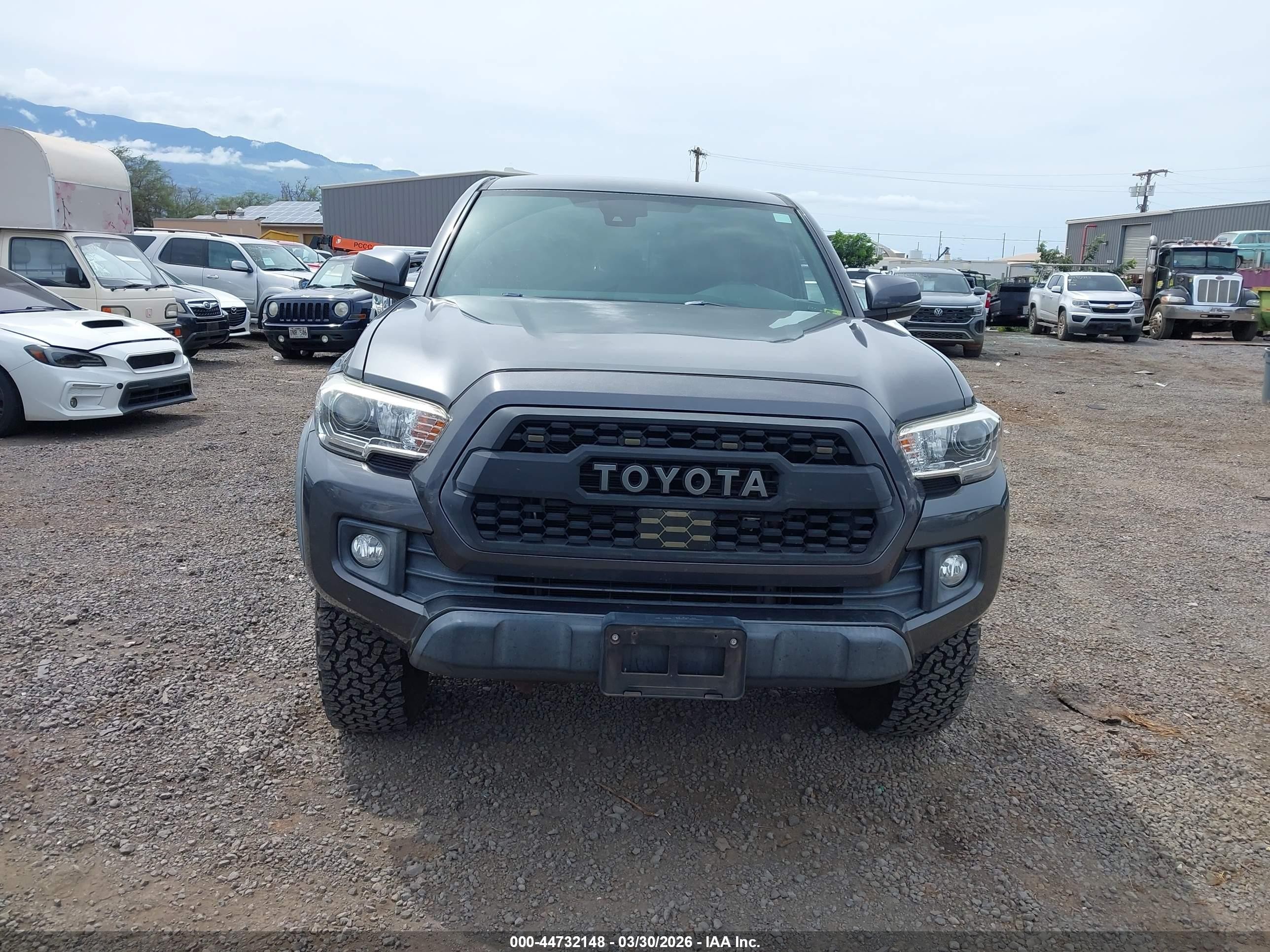 2019 Toyota Tacoma Trd Off Road Gray vin: 3TMCZ5AN8KM257191