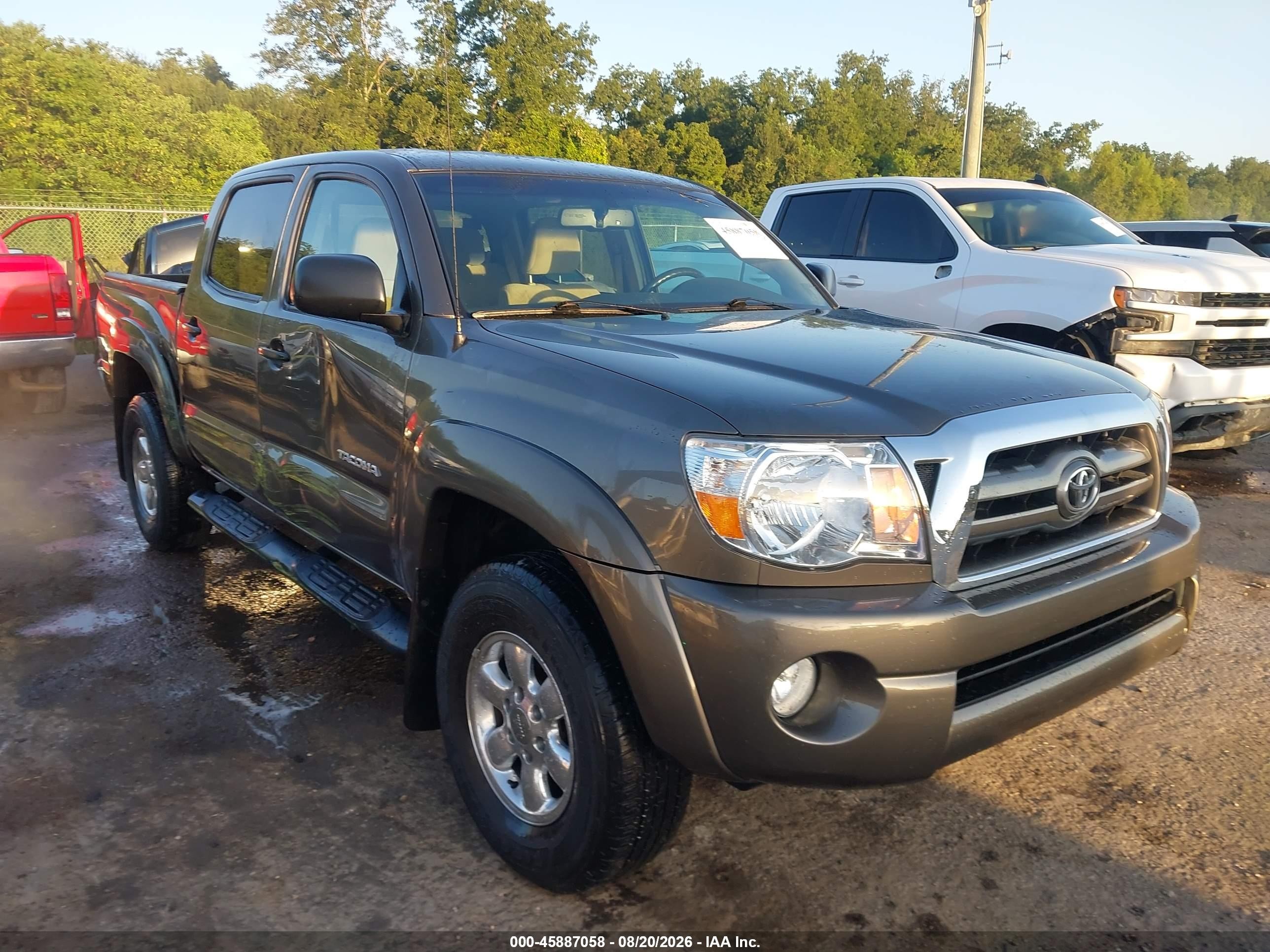 2010 Toyota Tacoma Prerunner V6 Brown vin: 3TMJU4GN5AM093971