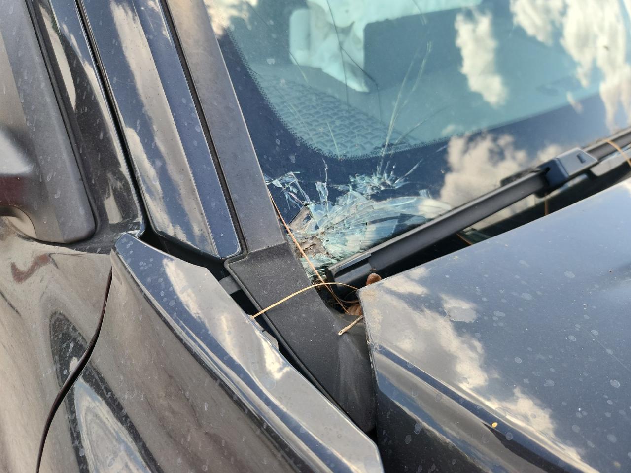 2024 Toyota Tacoma Sr5 Gray vin: 3TMKB5FN4RM023973 Damage: Windshield, Broken, Replacement Required