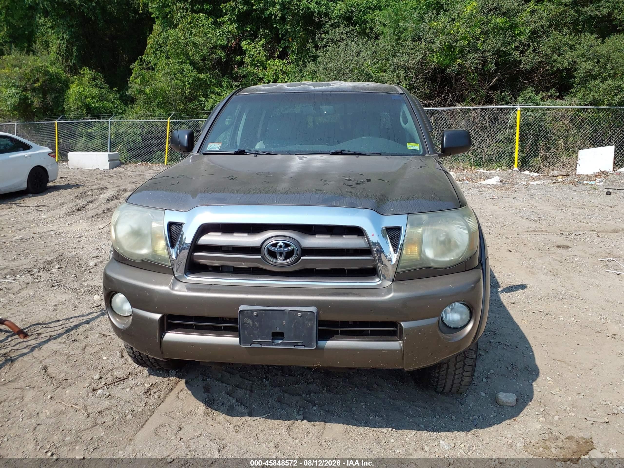 2009 Toyota Tacoma Base V6 Gold vin: 3TMLU42N59M036679