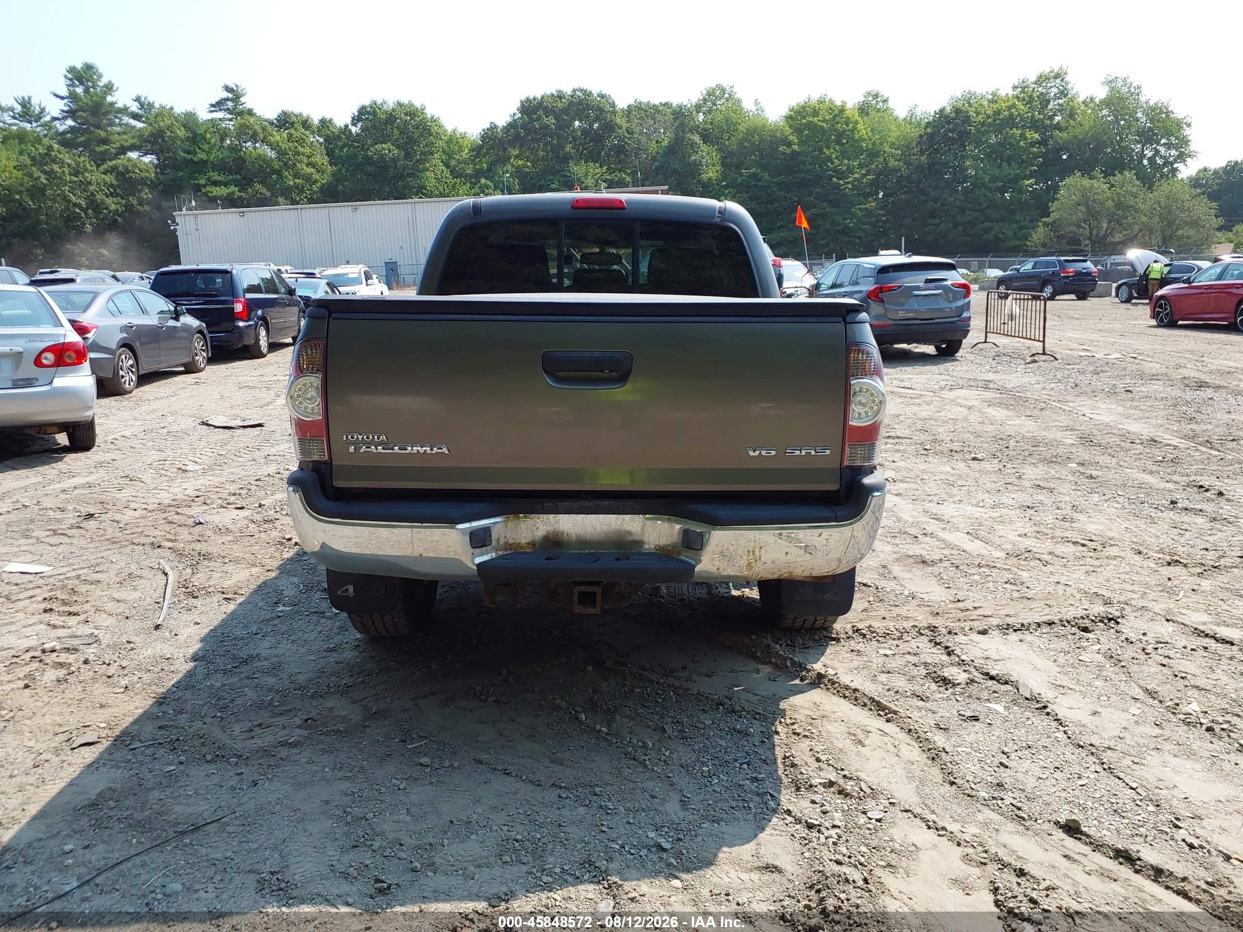 2009 Toyota Tacoma Base V6 Gold vin: 3TMLU42N59M036679