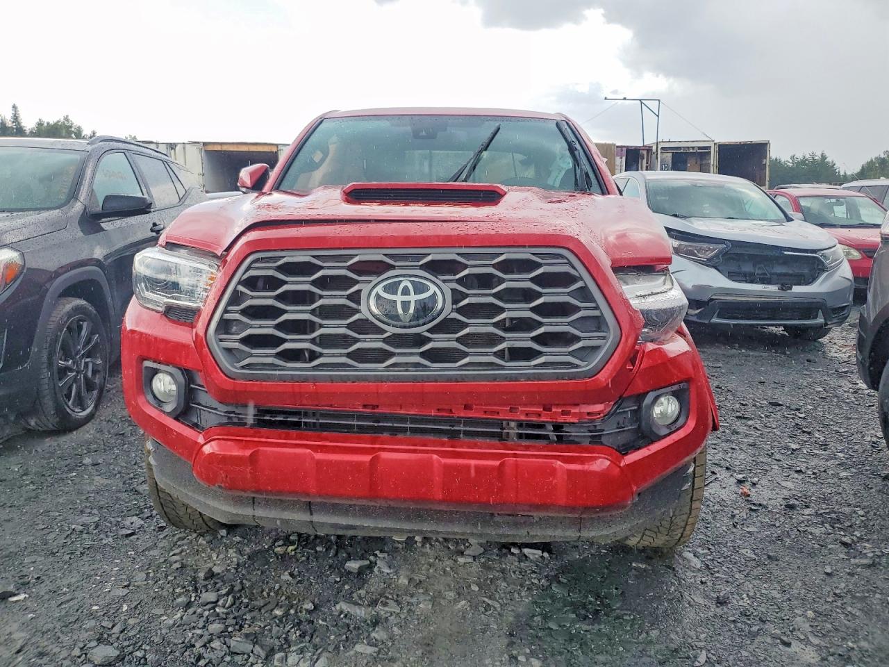 2023 Toyota Tacoma Sr5 V6 Burgundy vin: 3TYDZ5BN2PT022168