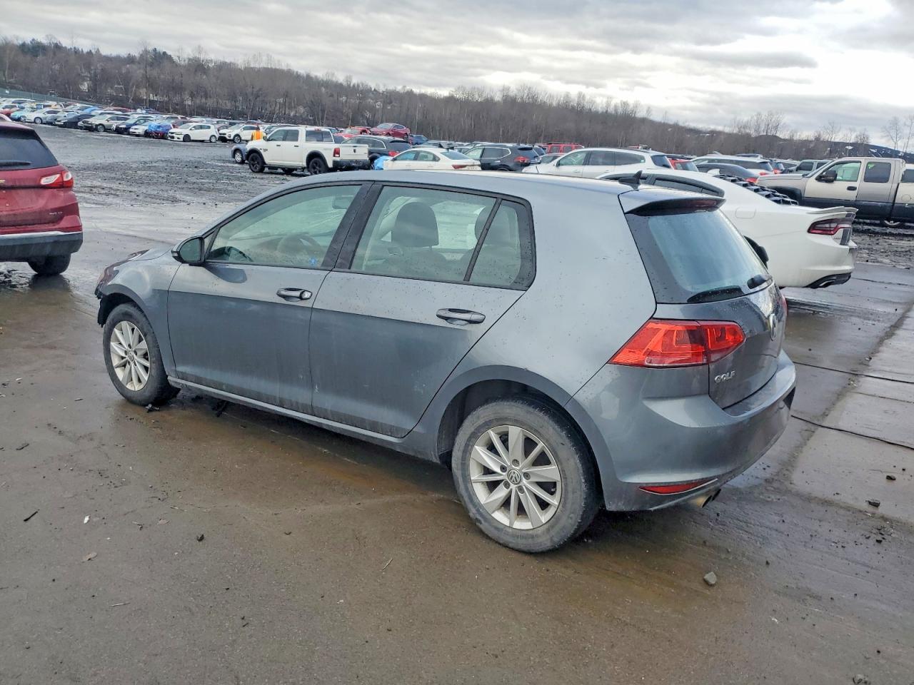 2015 Volkswagen Golf Gray vin: 3VW217AU5FM090751