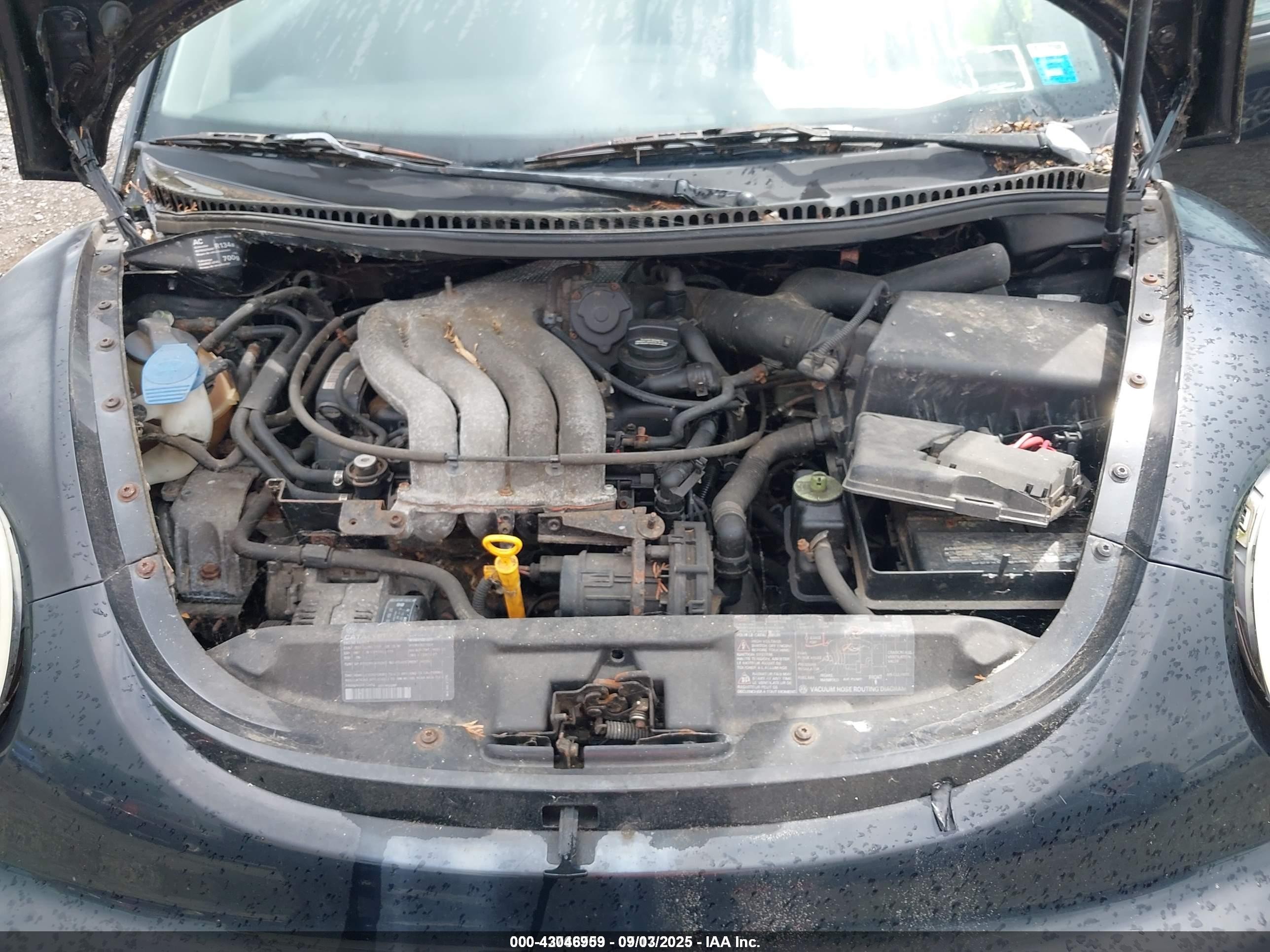 1998 Volkswagen New Beetle   Черный vin: 3VWBB61C6WM050600