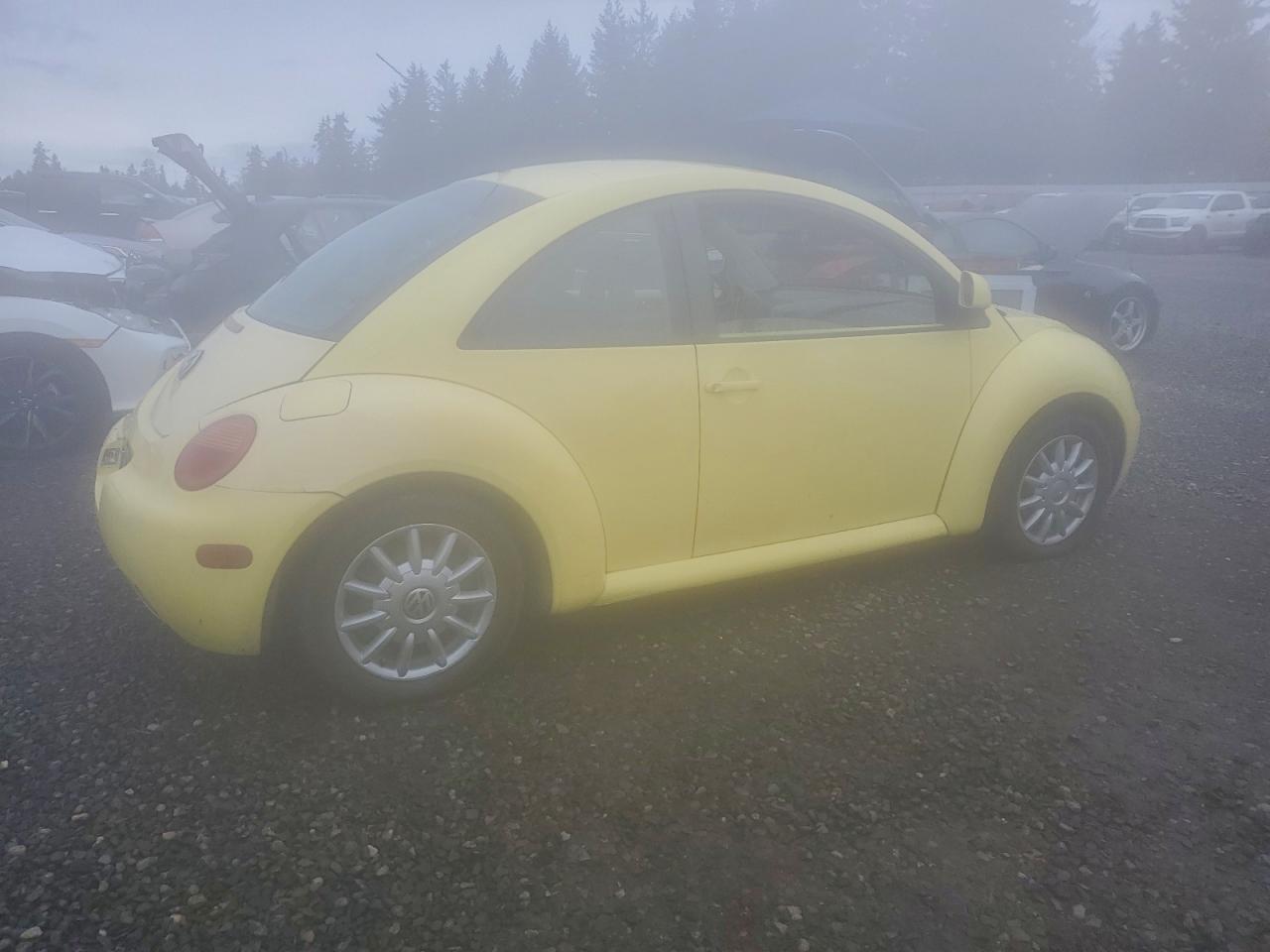 1998 Volkswagen New Beetle Желтый vin: 3VWBB61C9WM041955