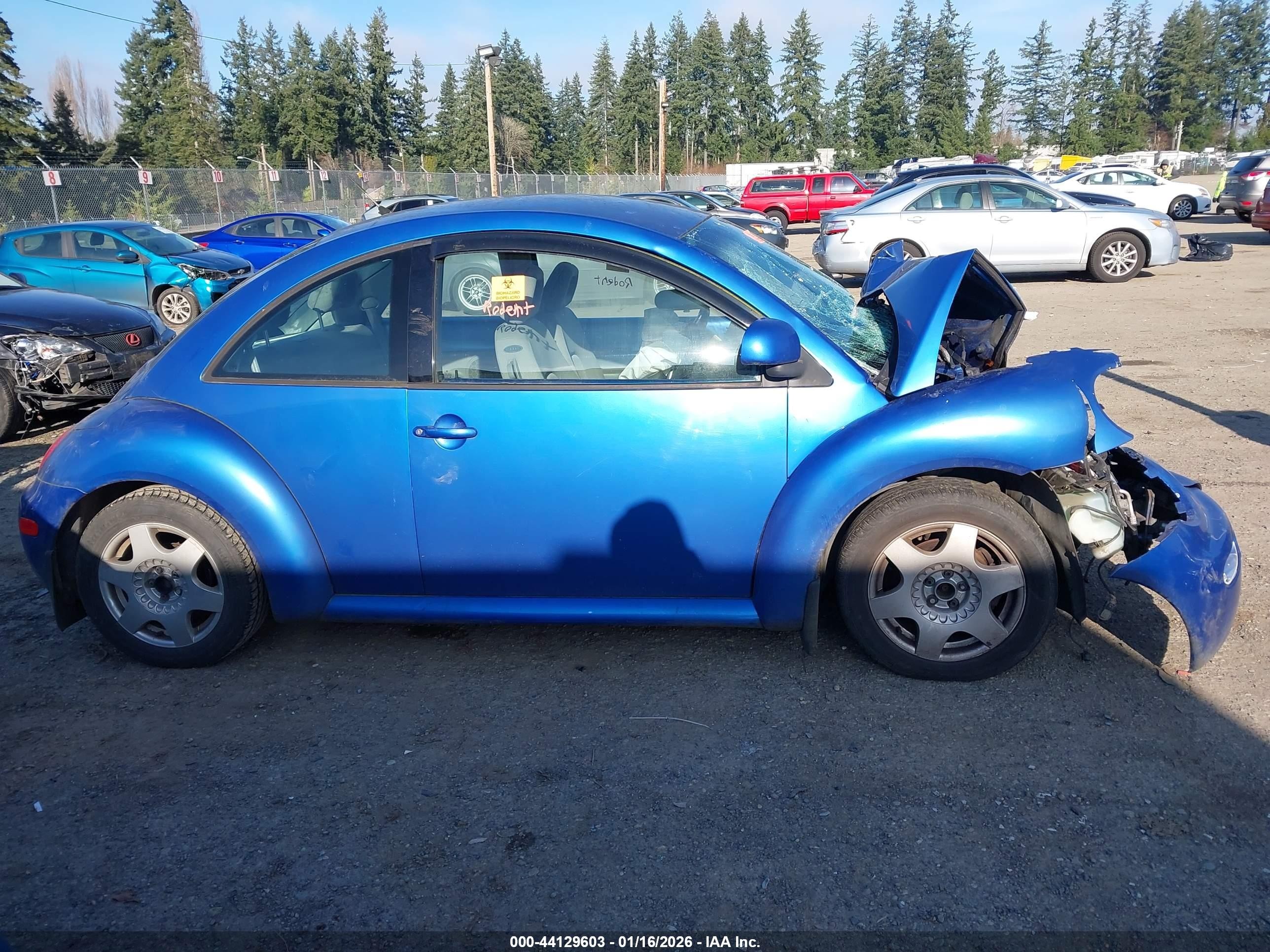 1998 Volkswagen New Beetle   Blue vin: 3VWBB61CXWM006888