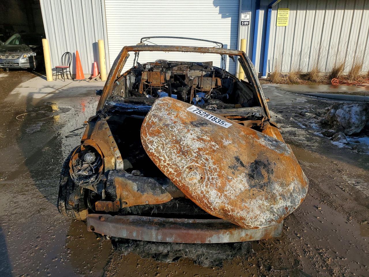 2004 Volkswagen New Beetle Gls Пожар vin: 3VWCD31YX4M345320