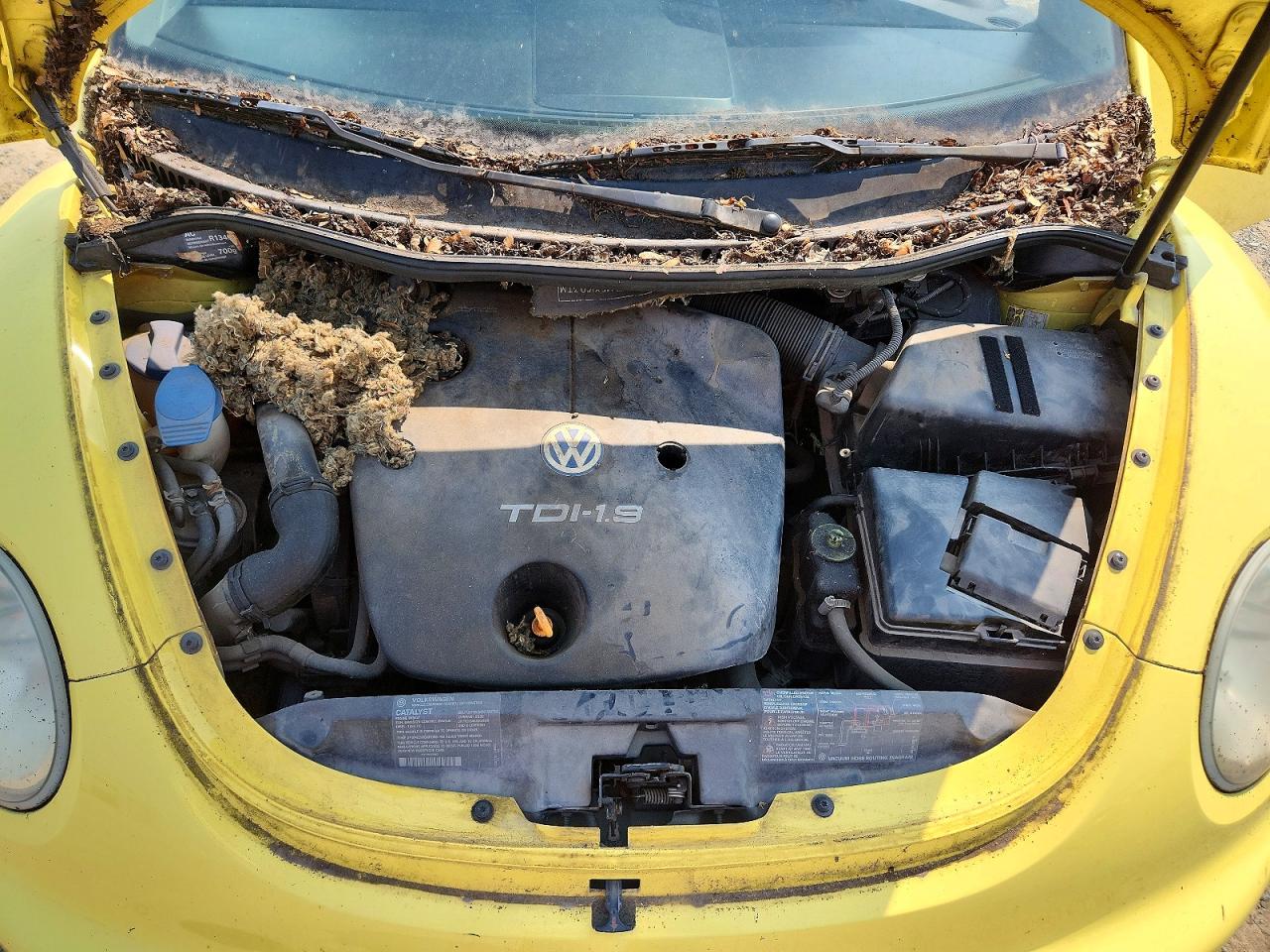 1999 Volkswagen New Beetle Gls Tdi Yellow vin: 3VWCF21C5XM406067