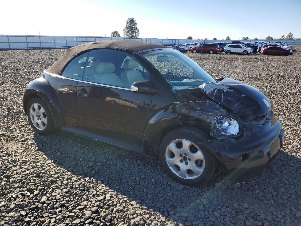 2003 Volkswagen New Beetle Gls Black vin: 3VWCK21YX3M317841