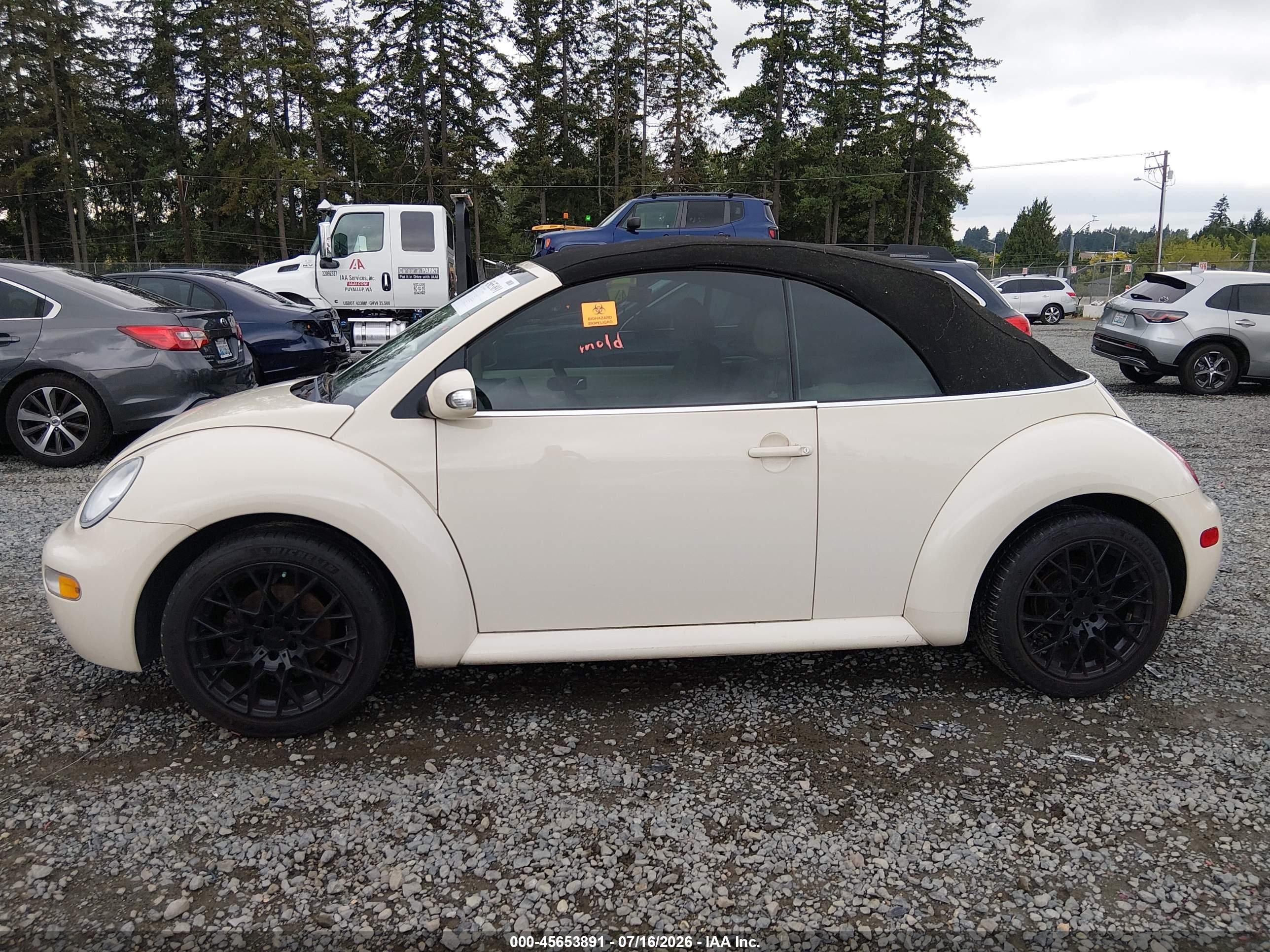 2005 Volkswagen New Beetle Gls Cream vin: 3VWCM31Y25M363537