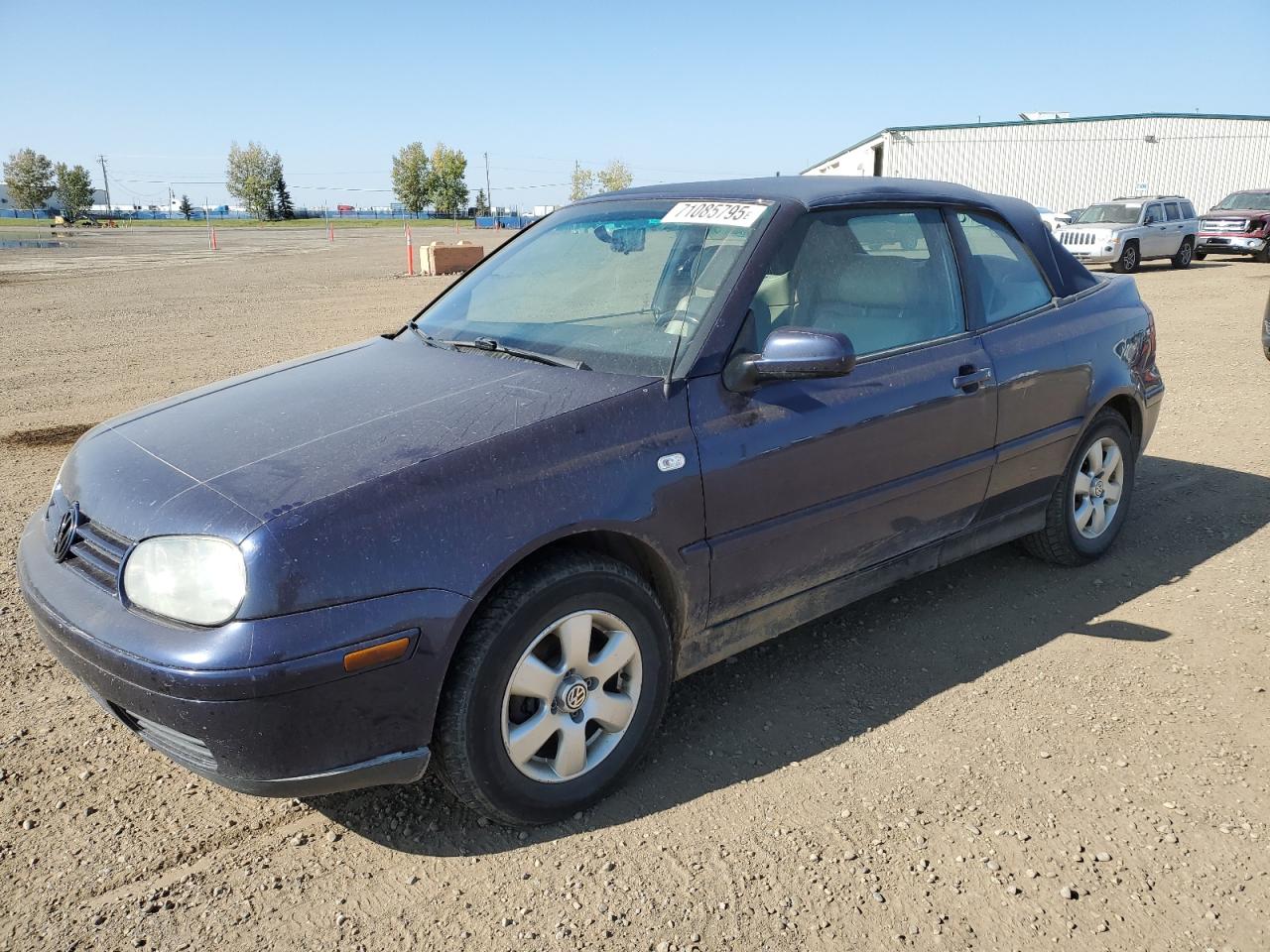 2002 Volkswagen Cabrio Glx Blue vin: 3VWDC21V72M805182