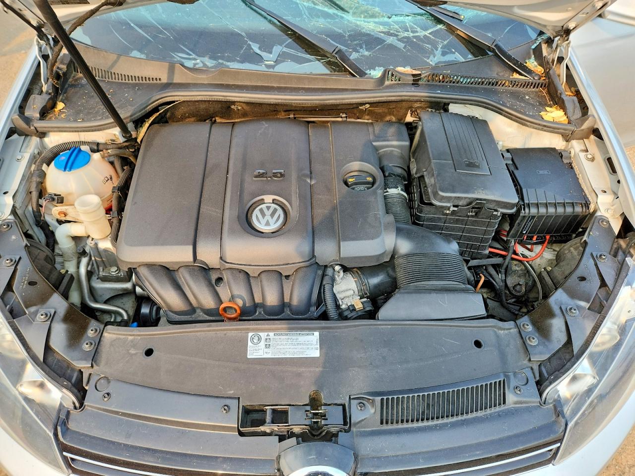 2010 Volkswagen Golf 2.5 Wagon Silver vin: 3VWMX7AJ8AM629174