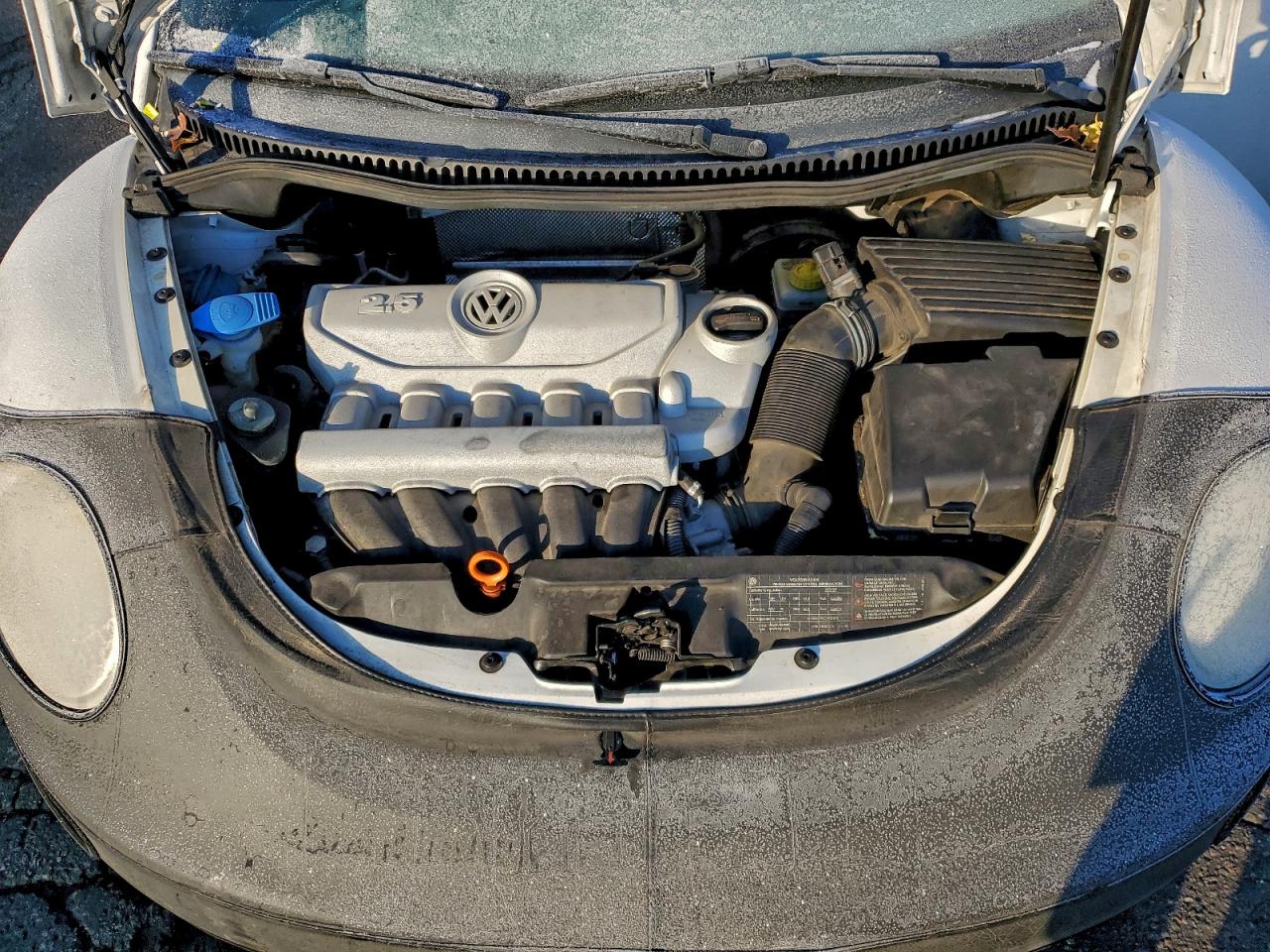 2009 Volkswagen New Beetle S White vin: 3VWPG31C79M511667
