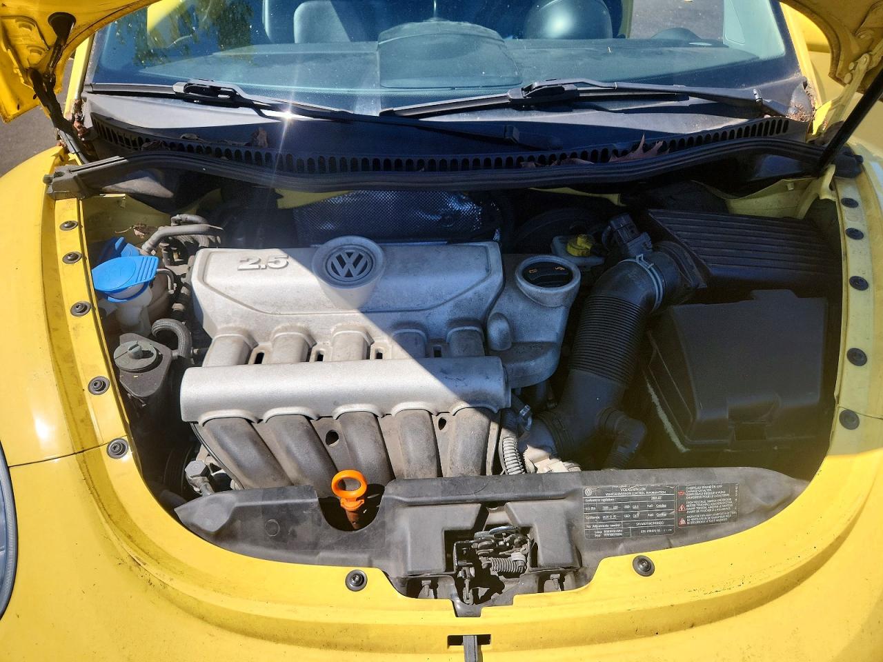 2009 Volkswagen New Beetle S Yellow vin: 3VWPW31C29M503169