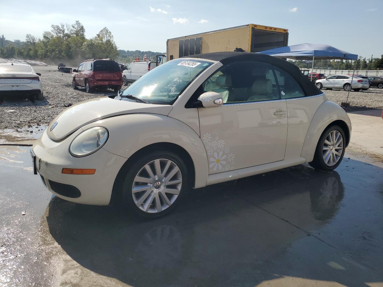 2008 Volkswagen New Beetle Convertible Se Cream vin: 3VWRF31Y08M409844