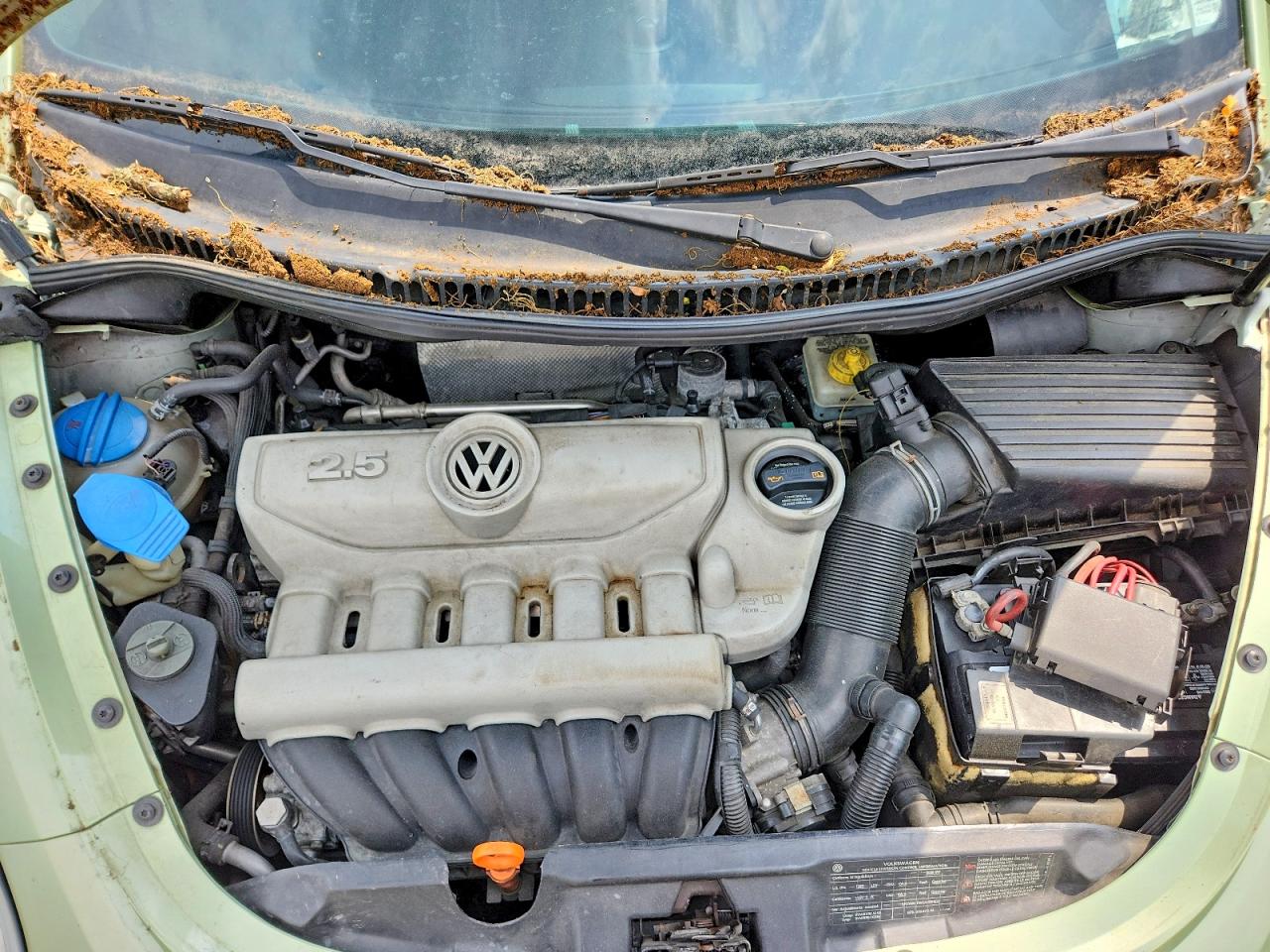 2009 Volkswagen New Beetle S Green vin: 3VWRF31Y39M406390