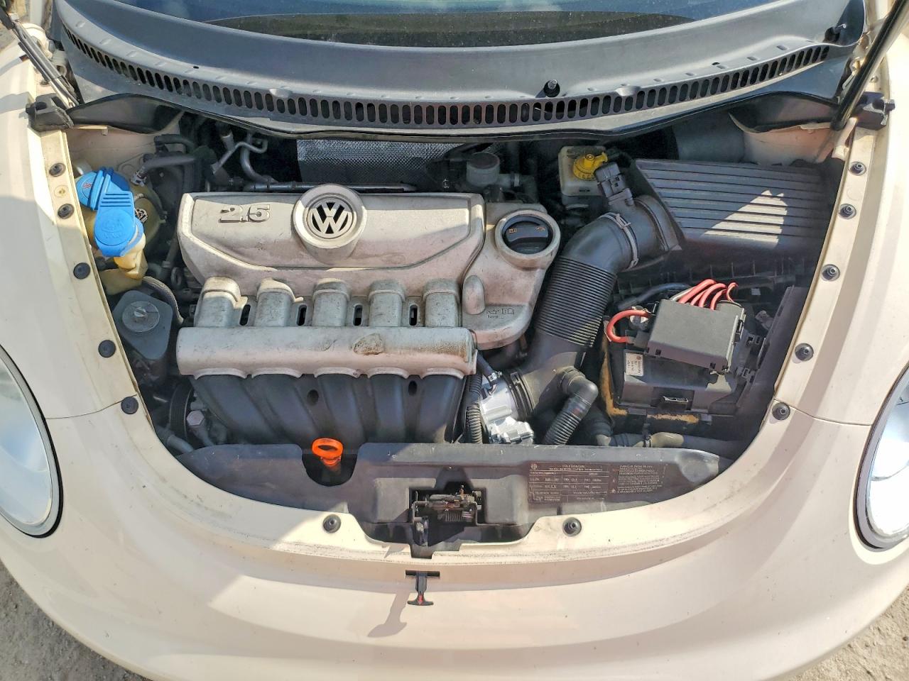 2009 Volkswagen New Beetle S Cream vin: 3VWRF31Y79M405646