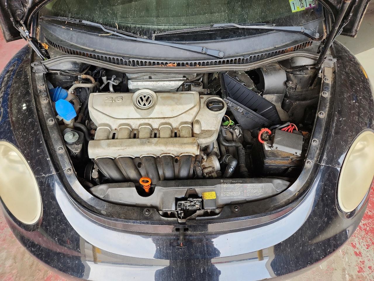 2008 Volkswagen New Beetle S Black vin: 3VWRG31C78M524278