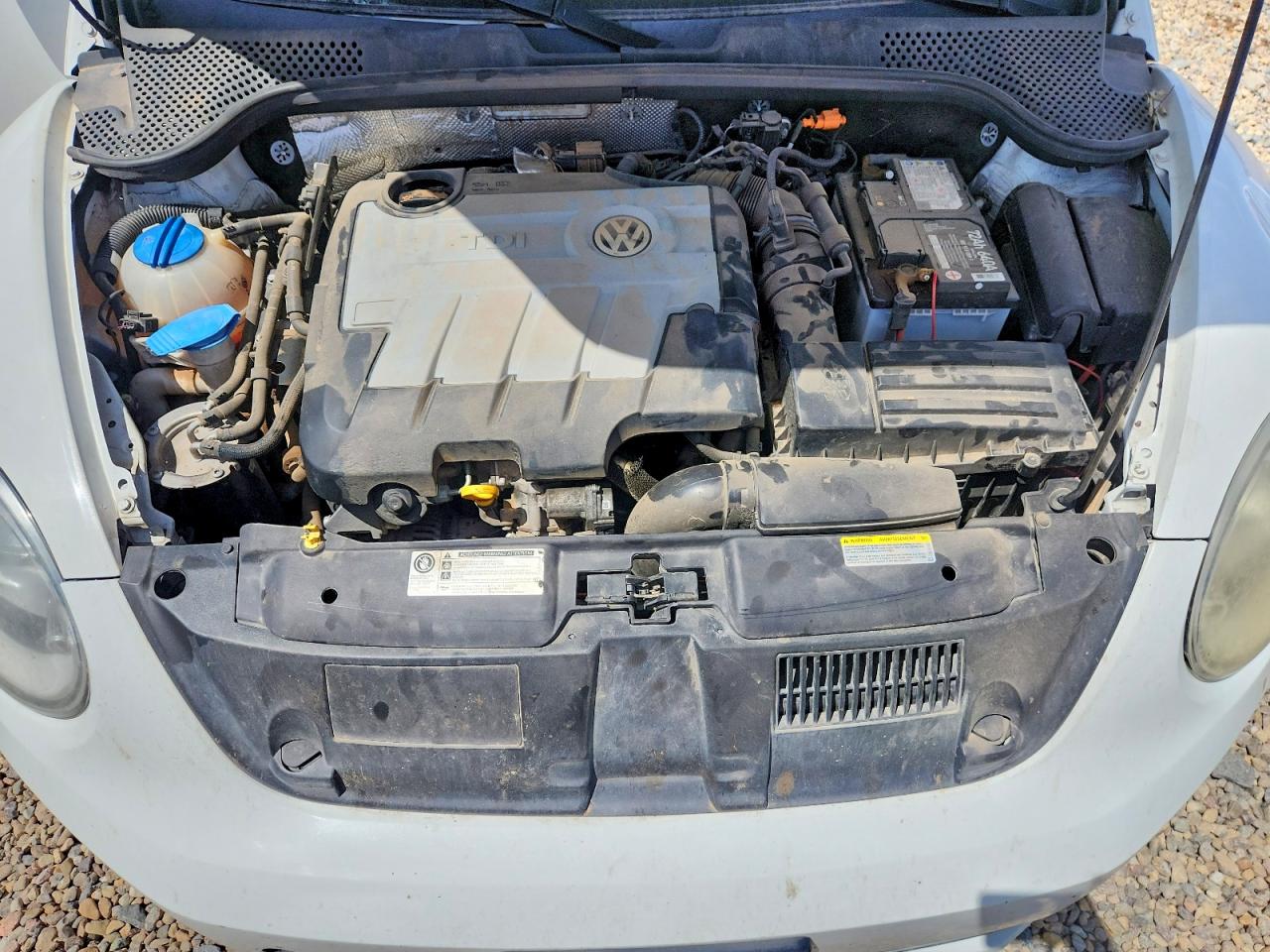2014 Volkswagen Beetle White vin: 3VWRL7AT9EM654884