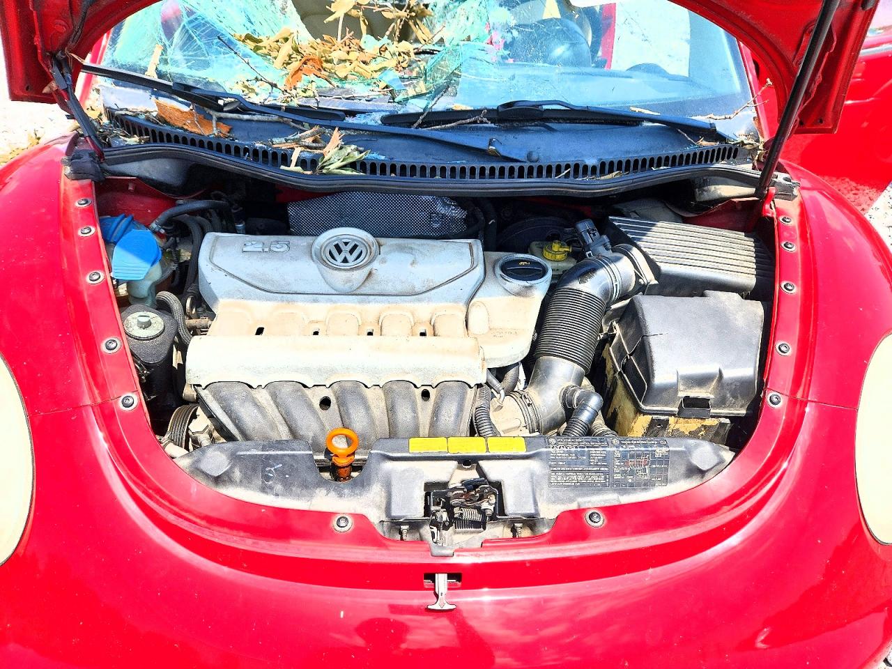 2006 Volkswagen New Beetle 2.5l Option Package 1 Red vin: 3VWRW31C36M417258
