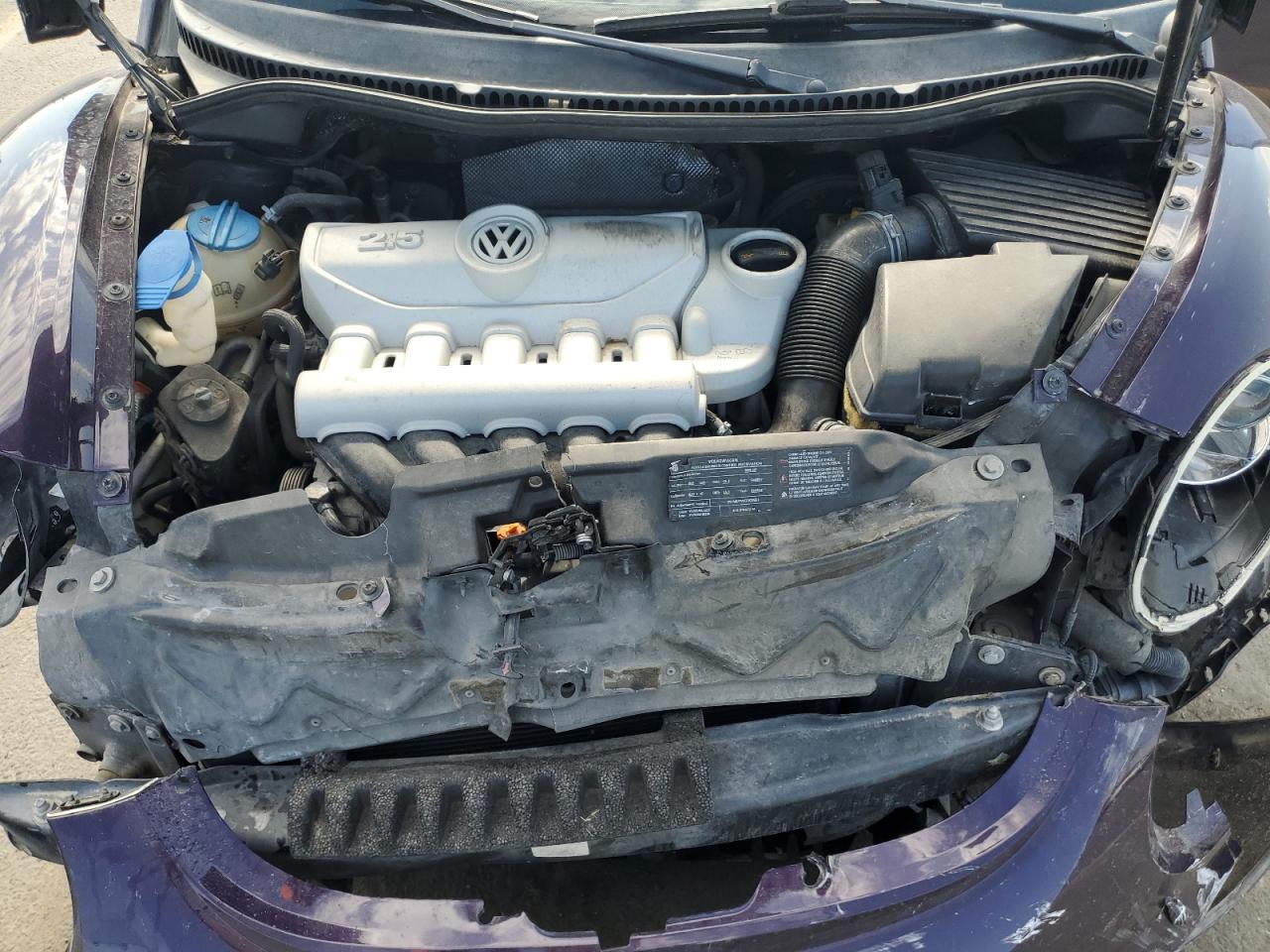 2009 Volkswagen New Beetle S Purple vin: 3VWRW31C79M518064