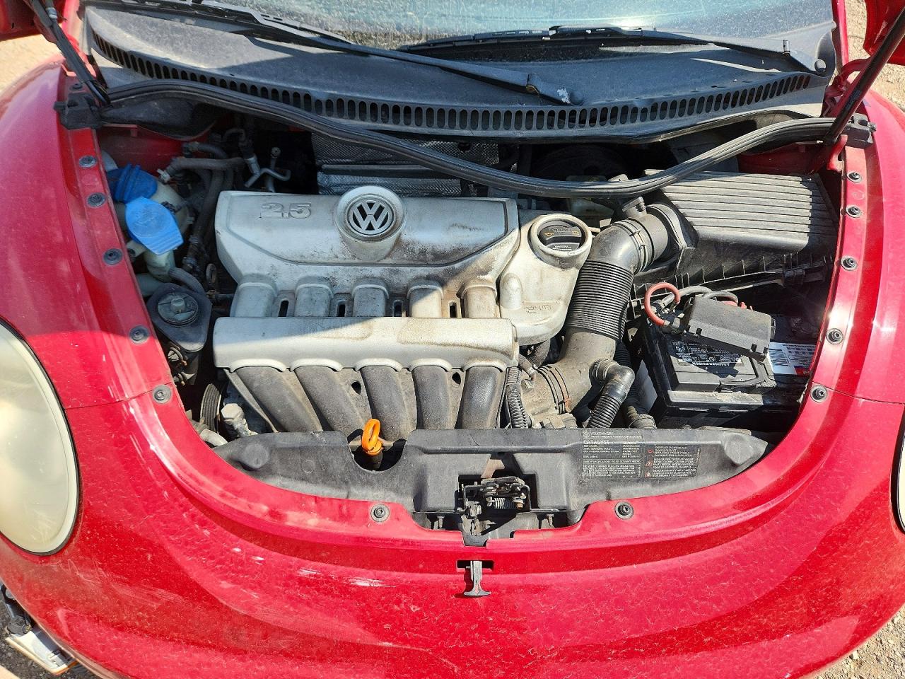 2008 Volkswagen New Beetle S Red vin: 3VWRW31C88M500719