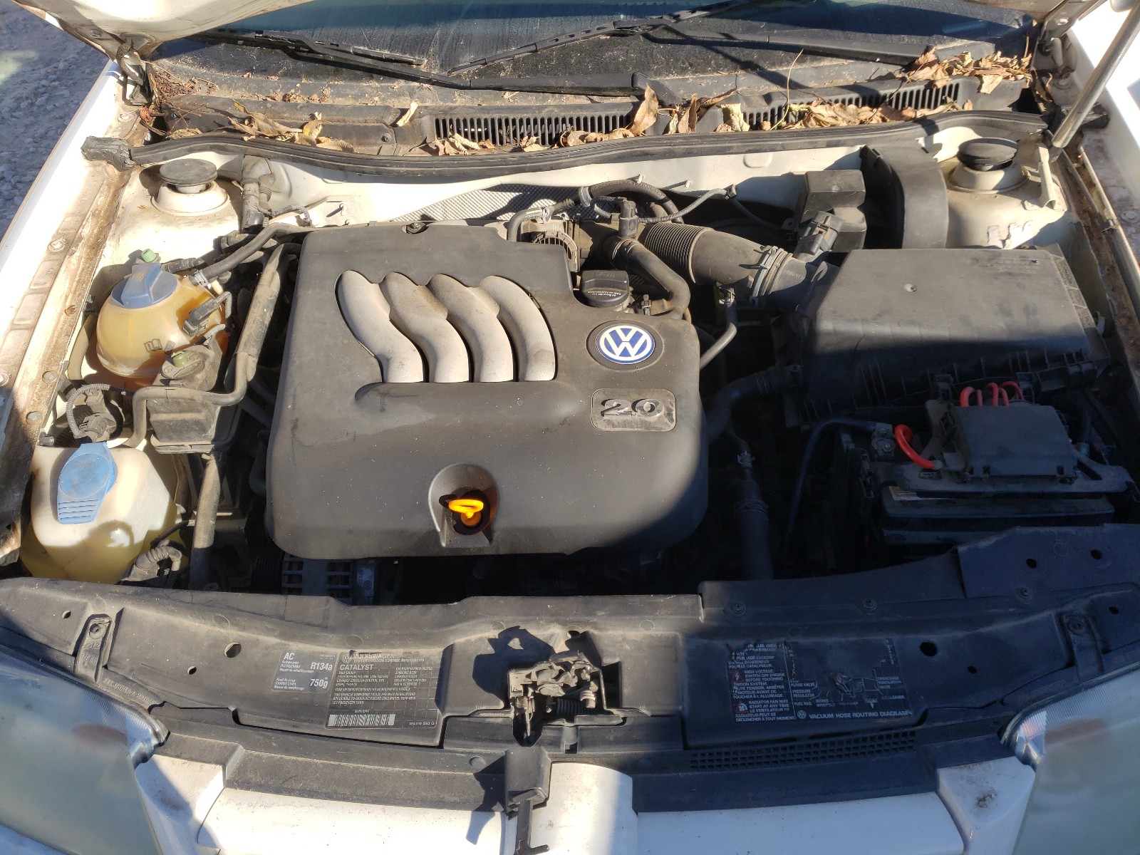 2002 Volkswagen Jetta Gls White vin: 3VWSB69MX2M154241