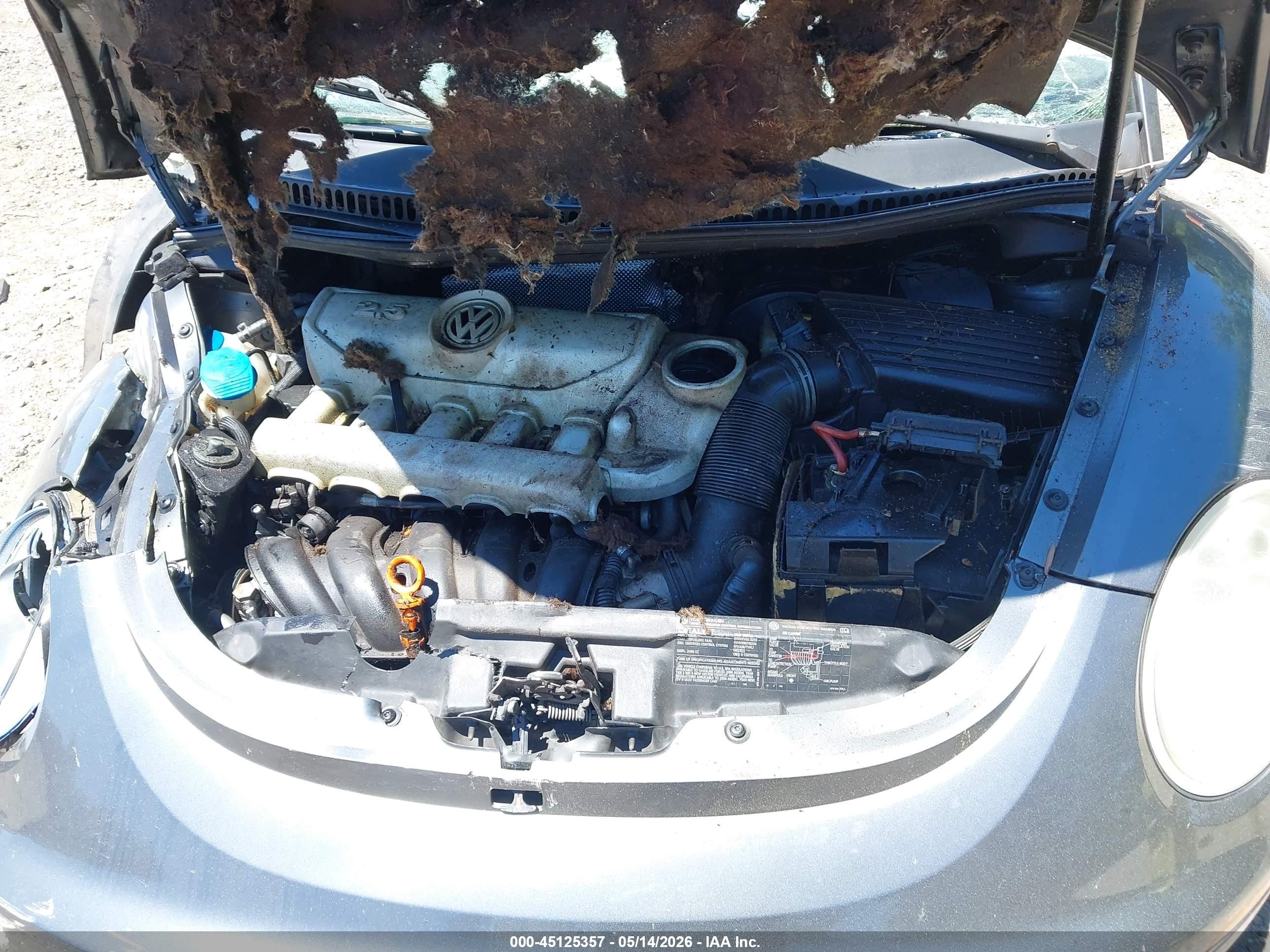 2006 Volkswagen New Beetle 2.5 Серый vin: 3VWSF31Y66M301064