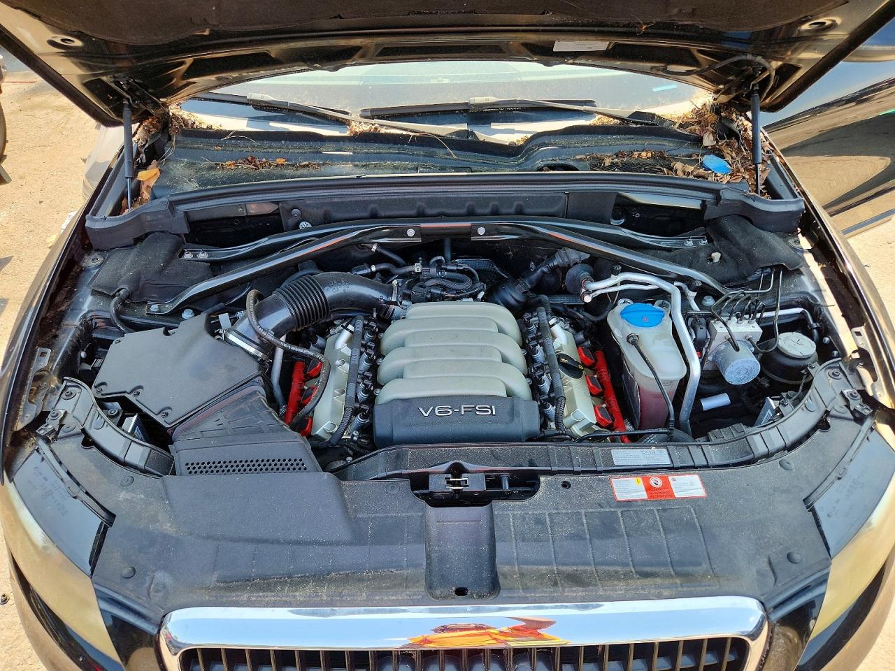 2010 Audi Q5 Premium Plus Black vin: WA1LKAFP1AA048128