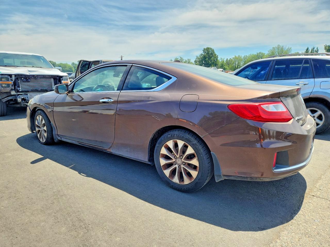 2013 Honda Accord Exl Brown vin: 1HGCT1B83DA007331