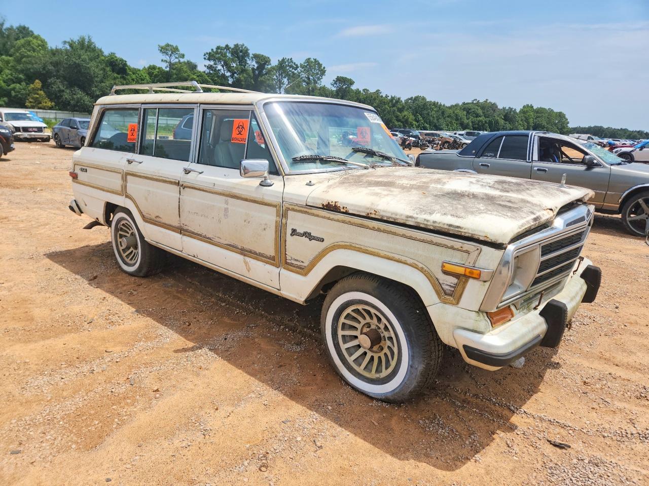 1991 Jeep Grand Wagoneer Белый vin: 1J4GS5872MP801320