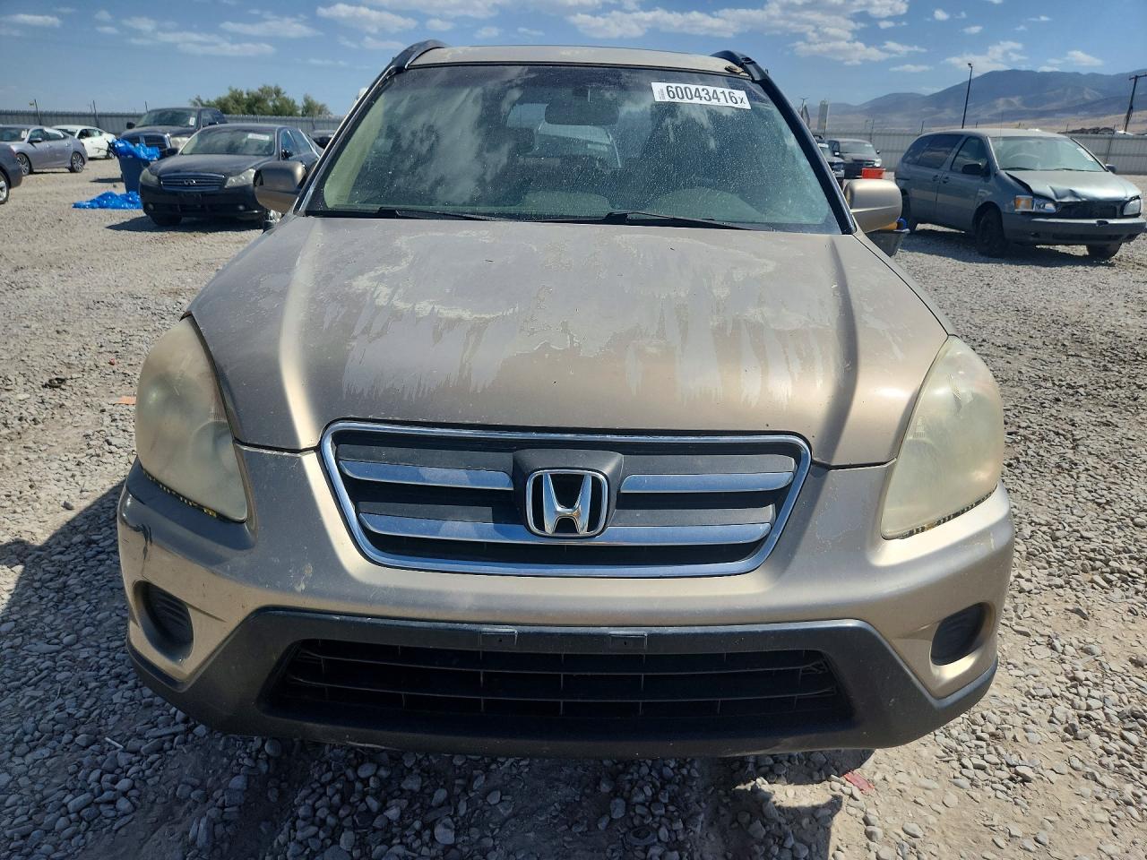 2005 Honda Cr-v Se Gold vin: JHLRD78995C036706