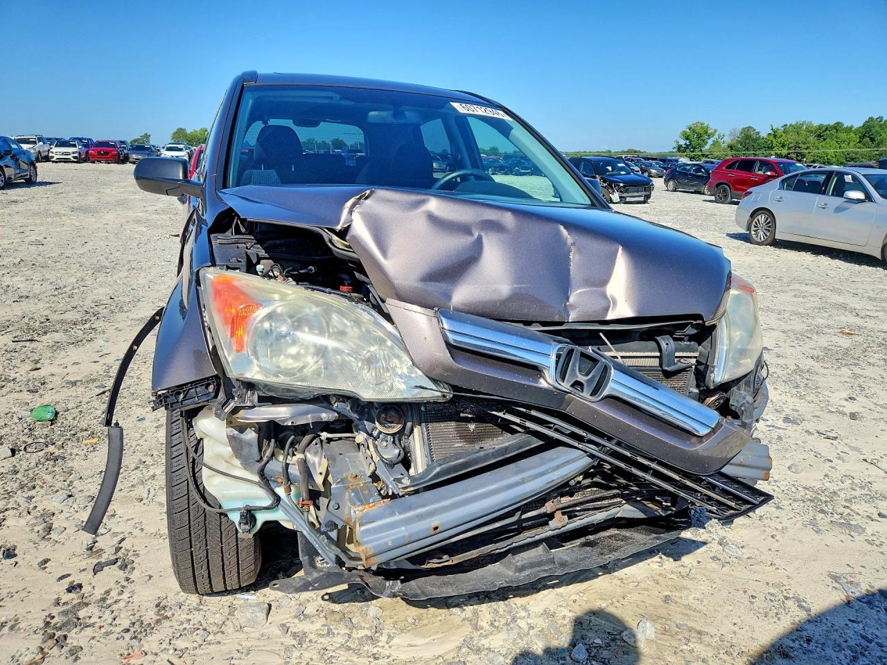 2009 Honda Cr-v Ex Gray vin: 3CZRE48579G706921