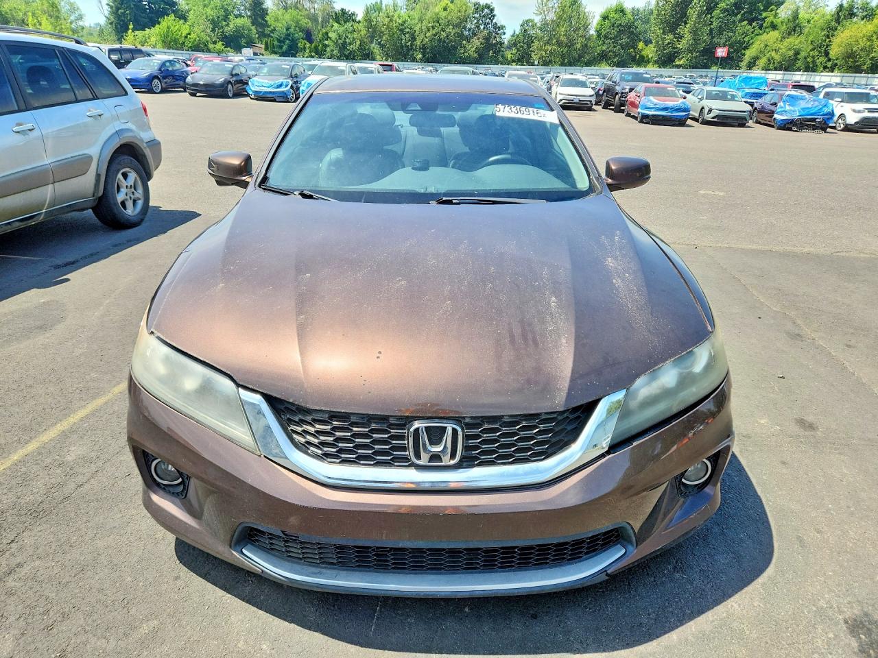 2013 Honda Accord Exl Brown vin: 1HGCT1B83DA007331