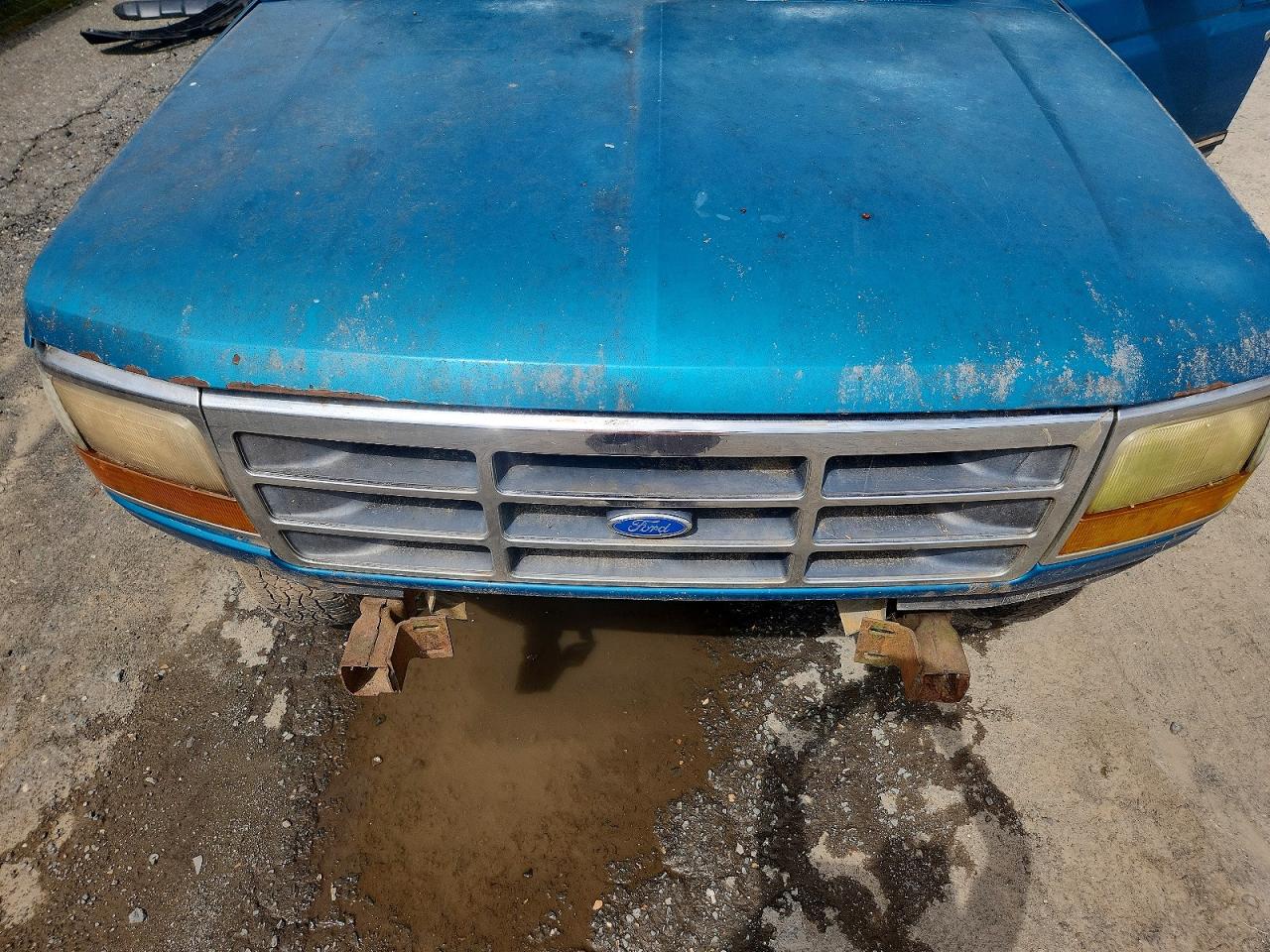 1994 Ford F150 Turquoise vin: 1FTEF14Y5RLB34928