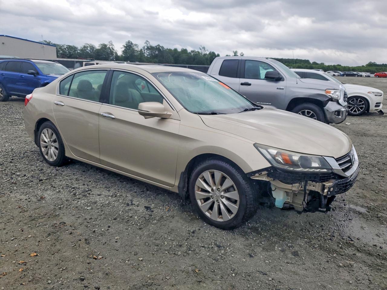 2013 Honda Accord Exl Желто-коричневый vin: 1HGCR3F82DA021547