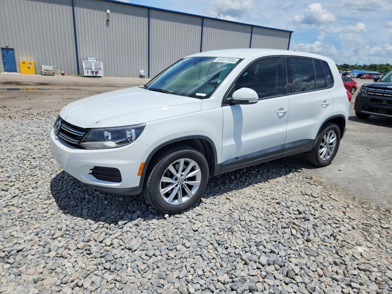 2014 Volkswagen Tiguan S Белый vin: WVGA3AX2EW554840