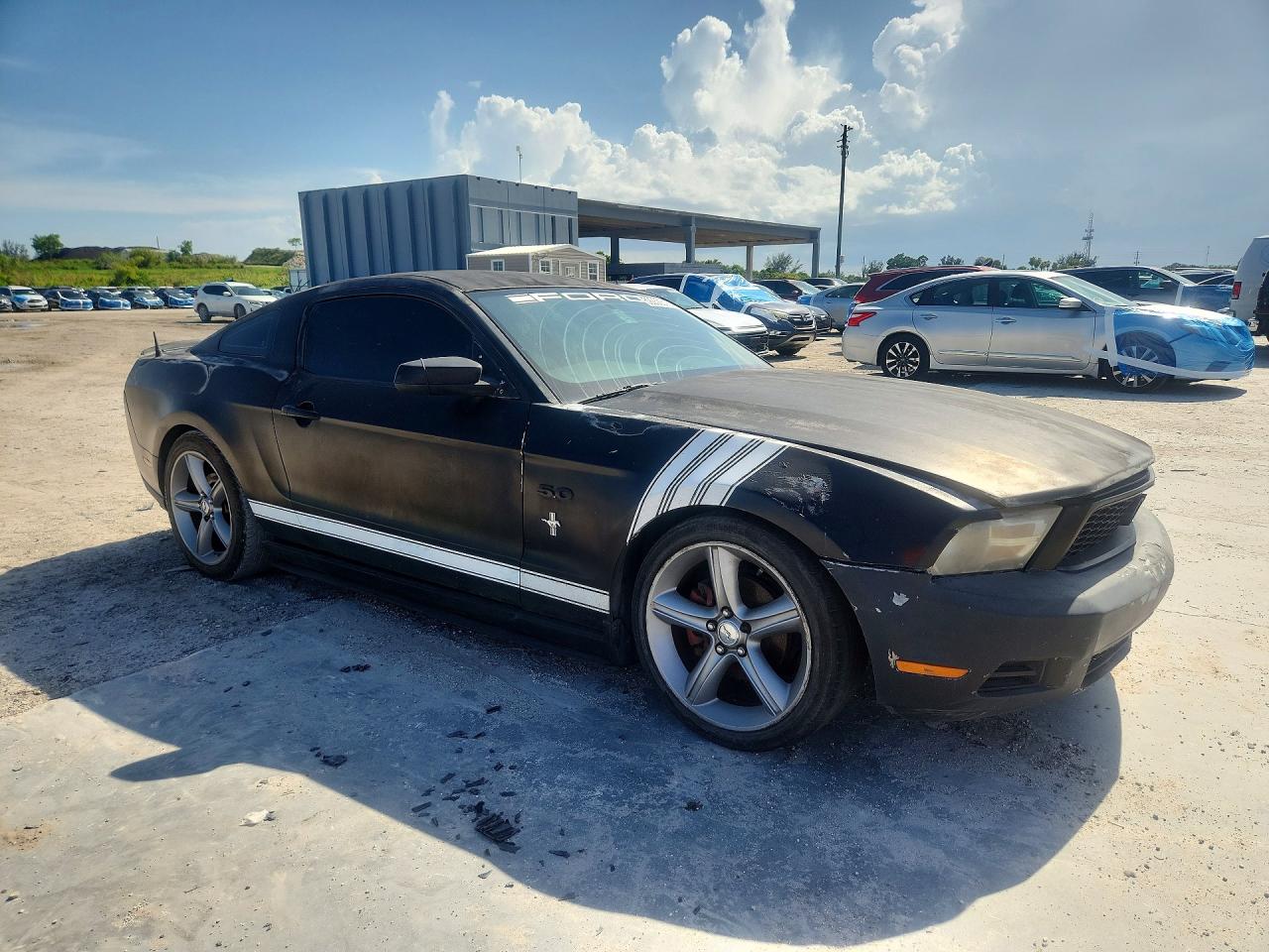 2010 Ford Mustang Black vin: 1ZVBP8AN3A5143636